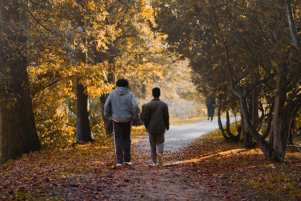 a couple of people walking on a path with trees on either side