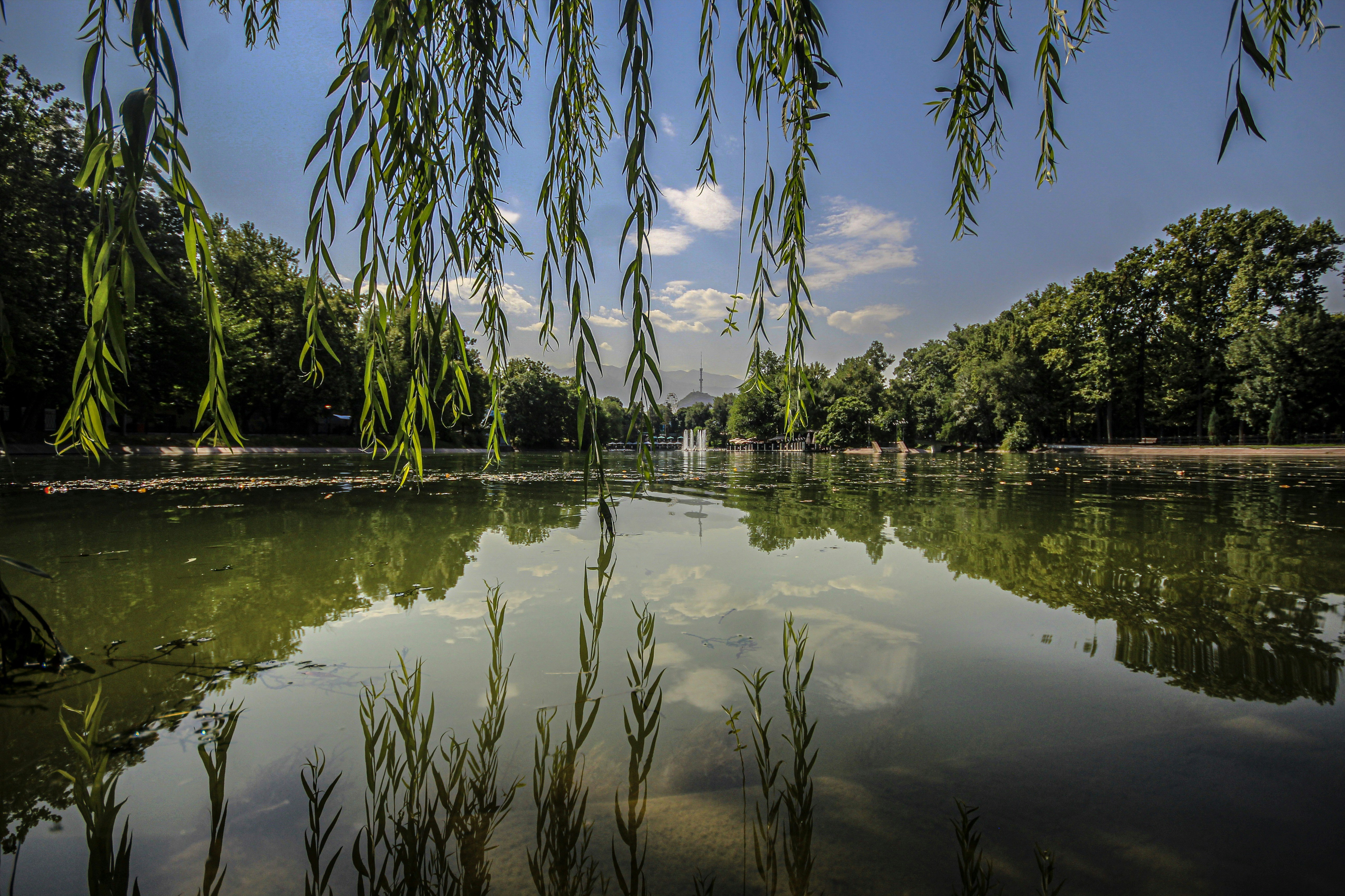 Photo by starkie_pics