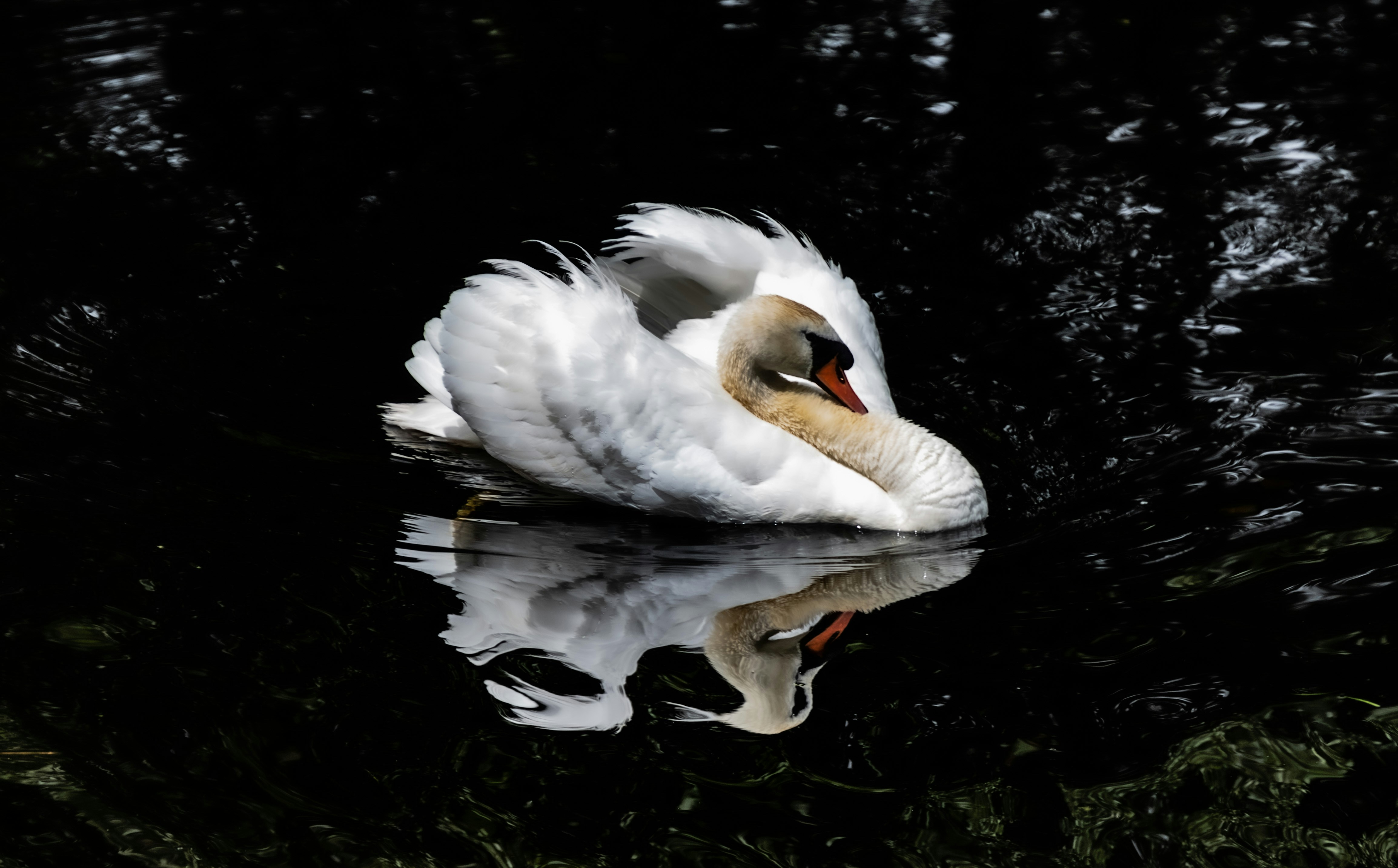 Photo by starkie_pics