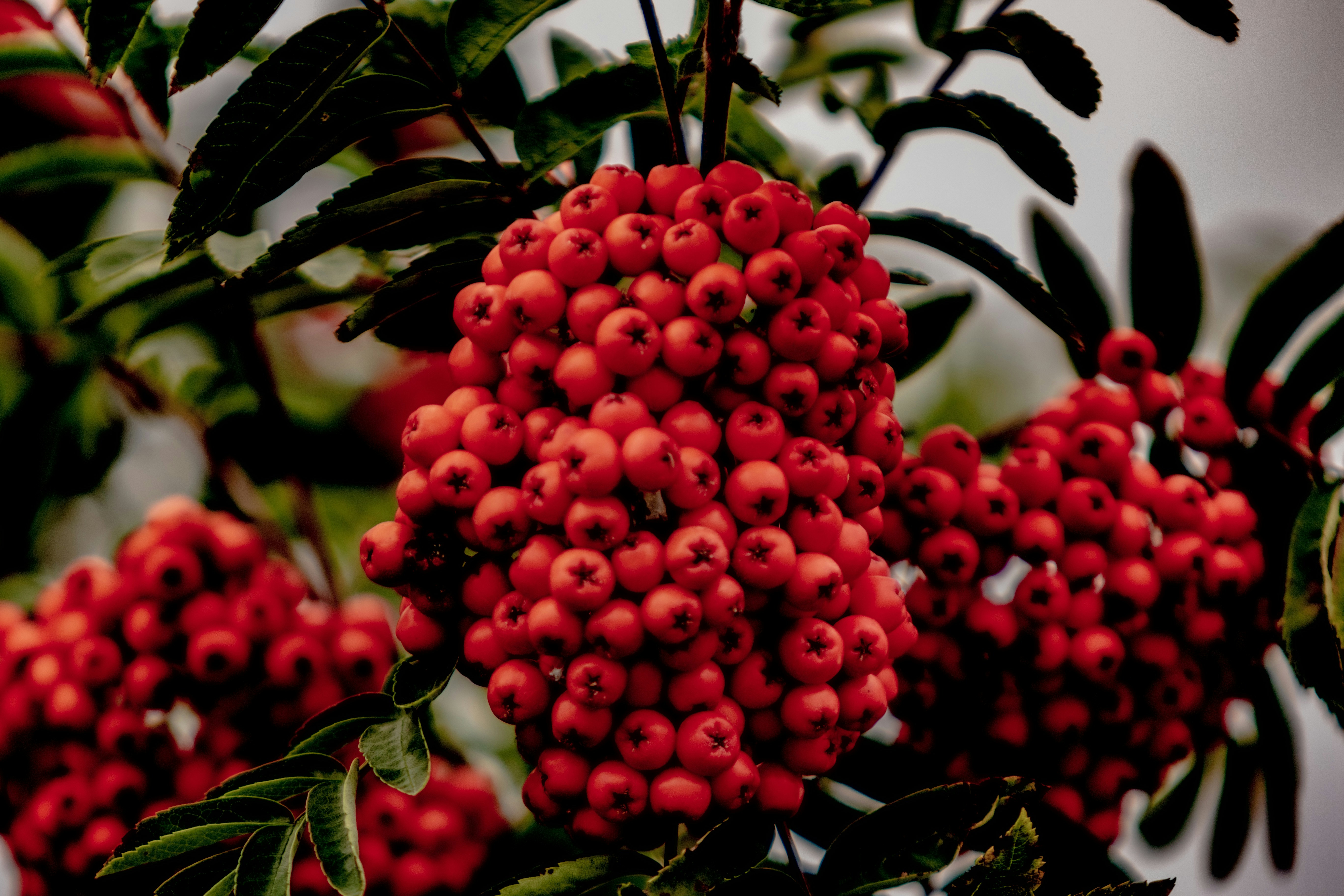 Photo by starkie_pics