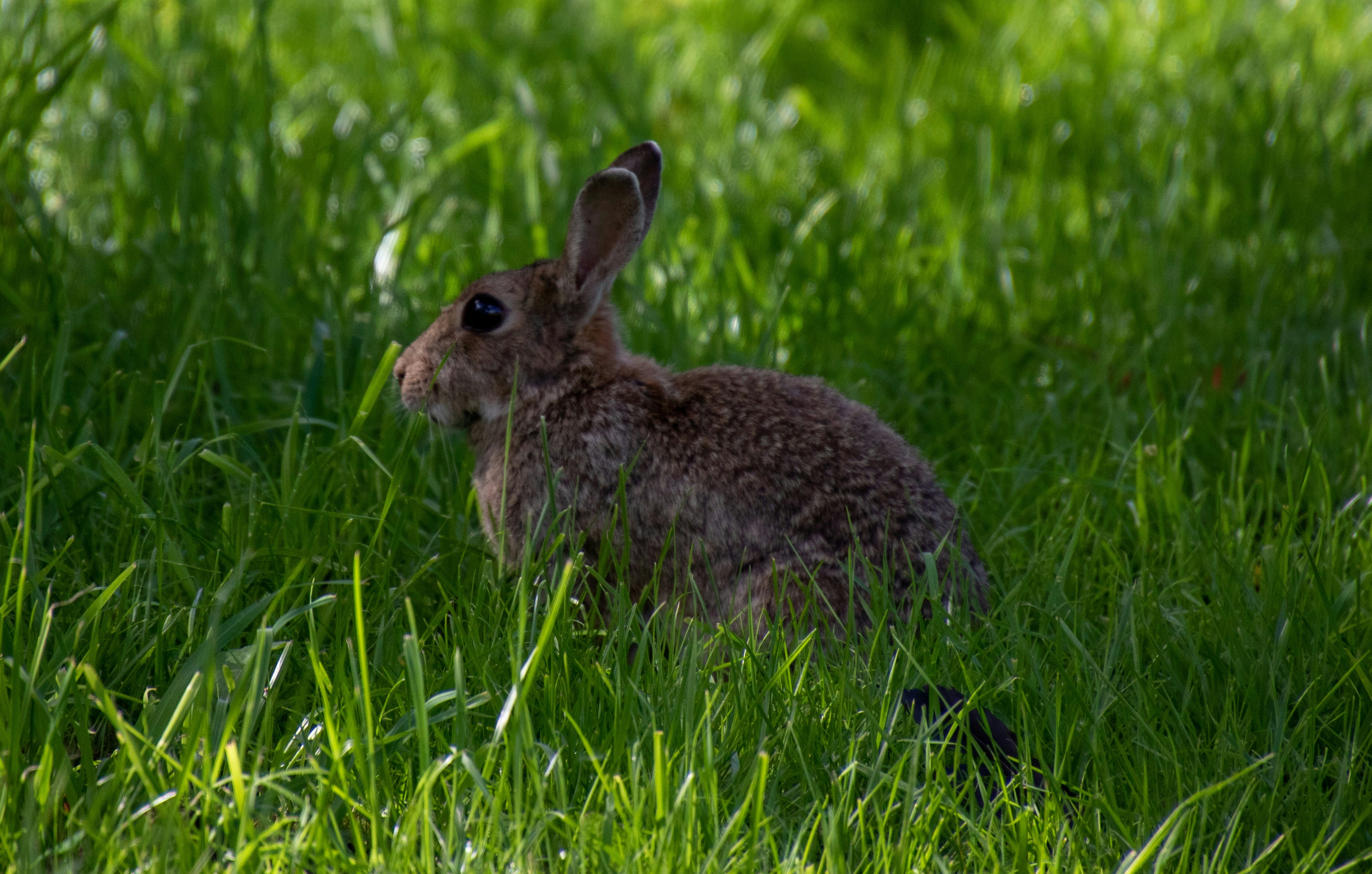 Photo by starkie_pics