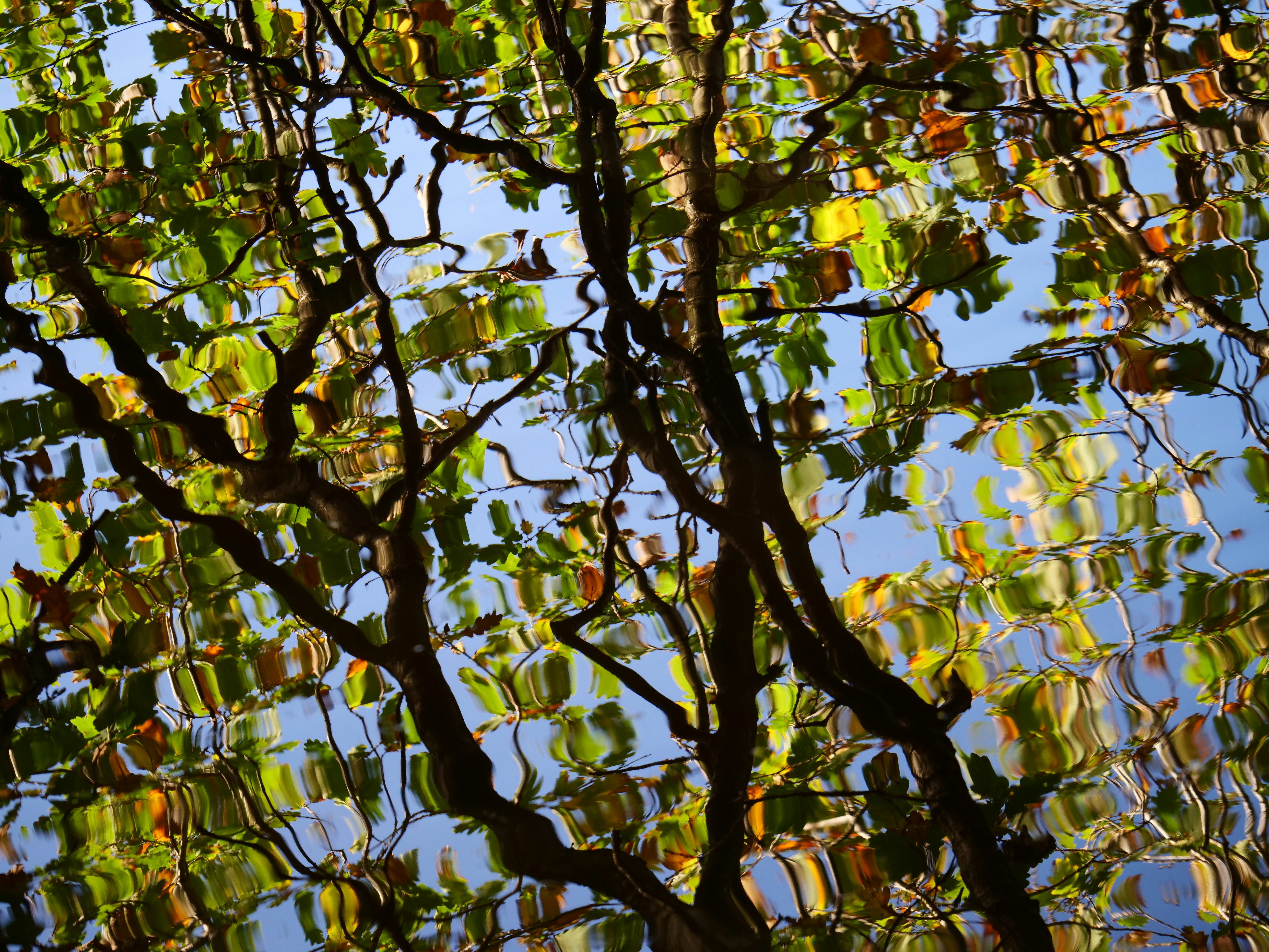 Reflection
