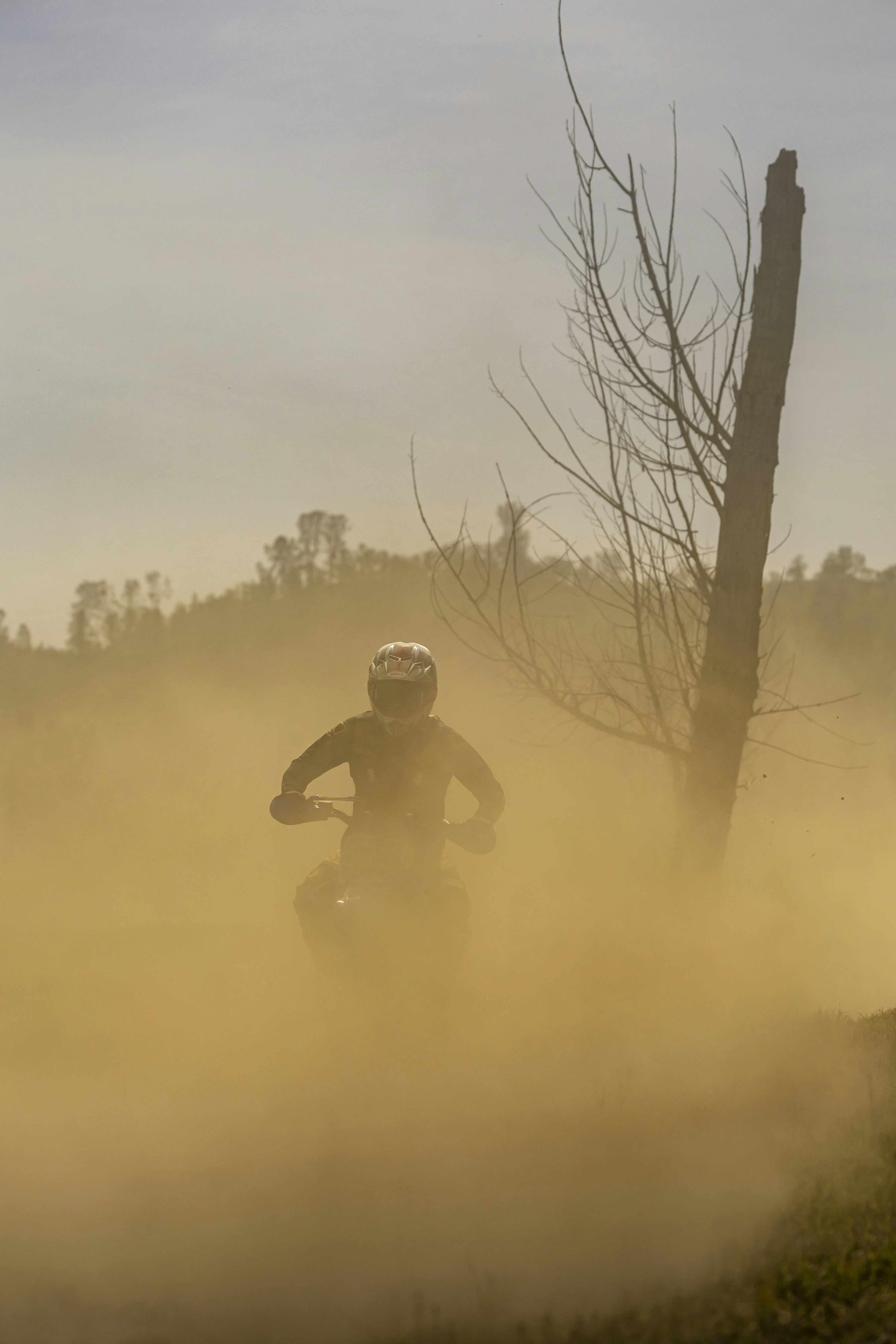 Photo by leo_visions_