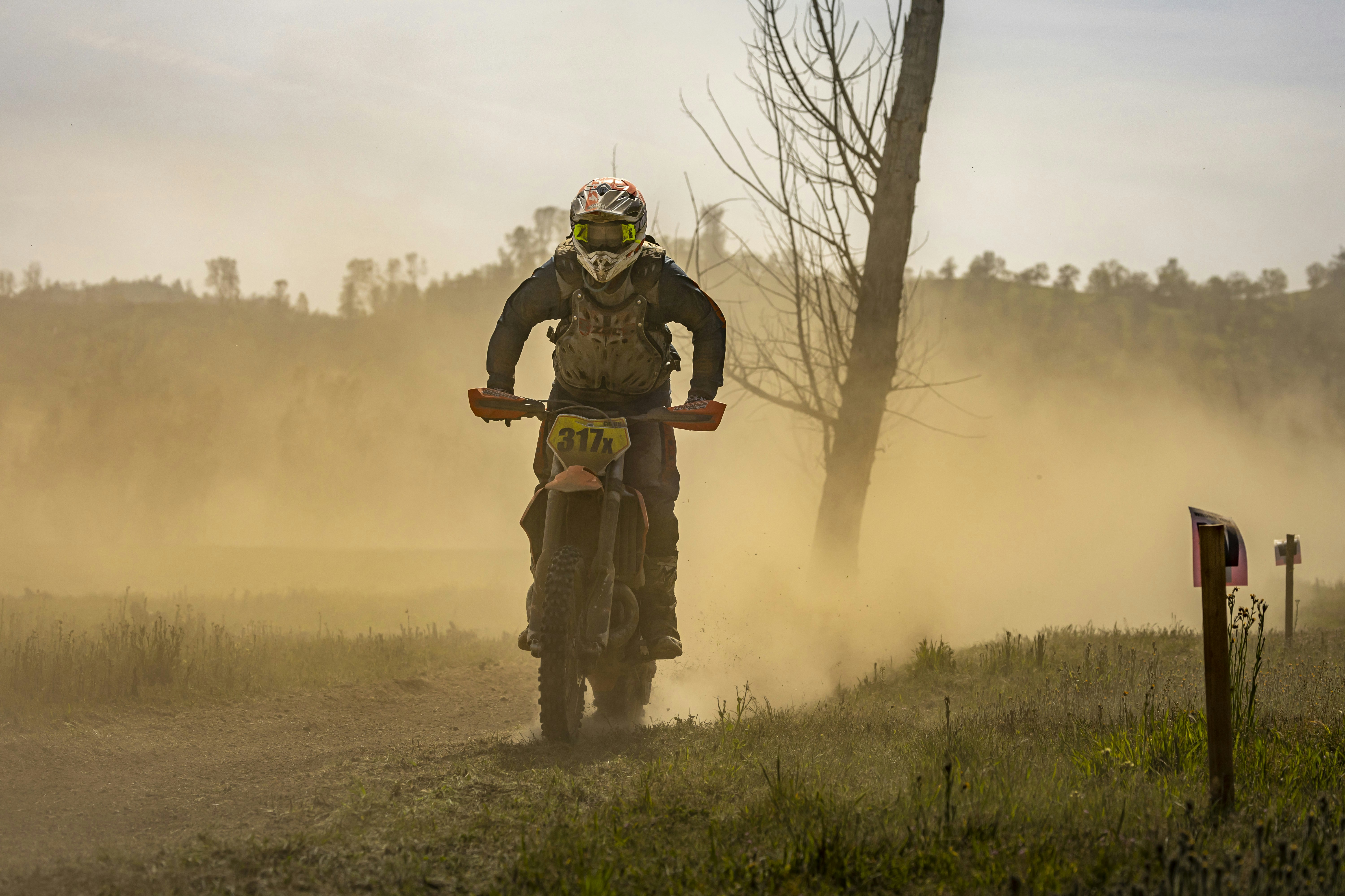 Photo by leo_visions_