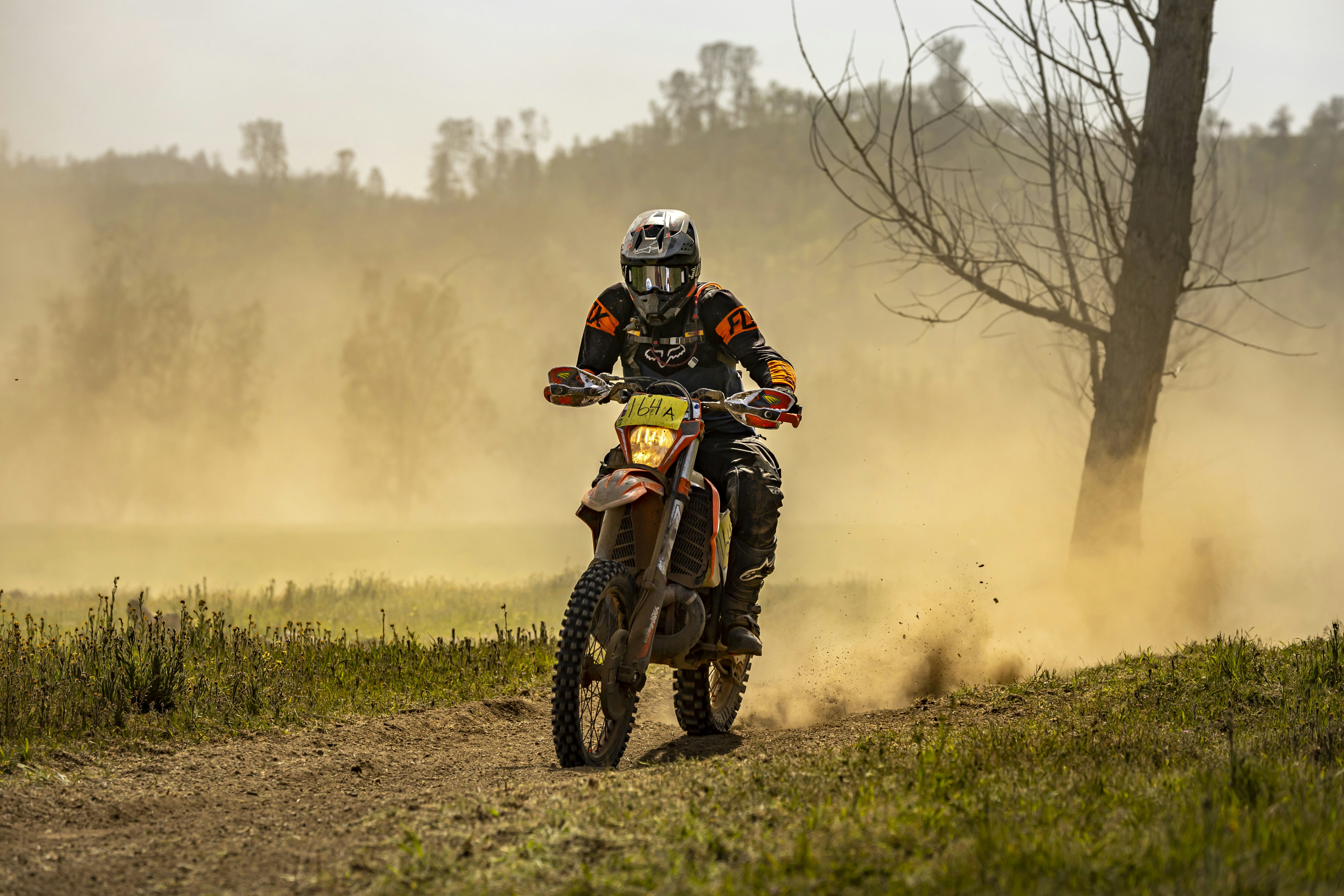 Photo by leo_visions_