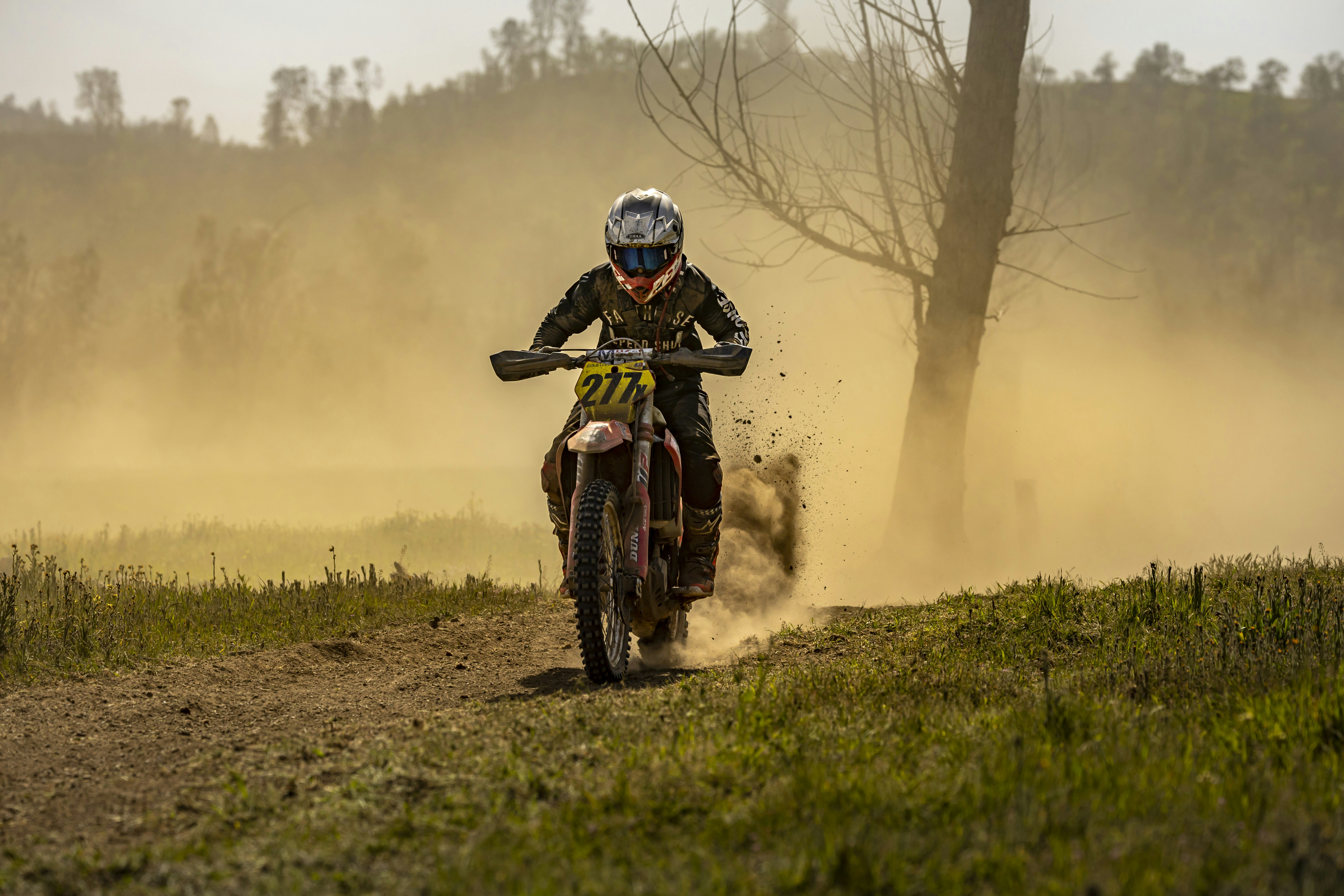 Photo by leo_visions_