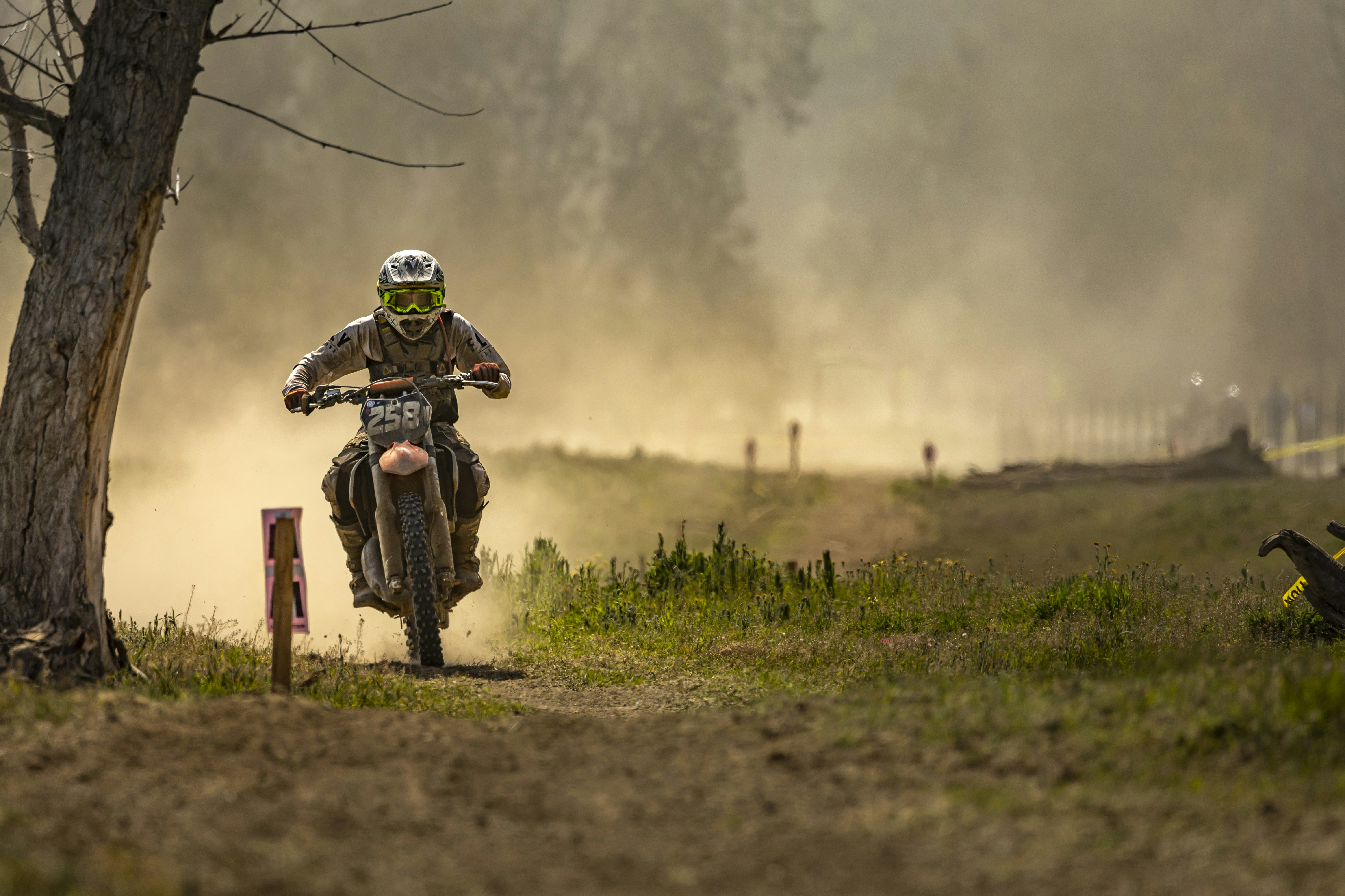 Photo by leo_visions_