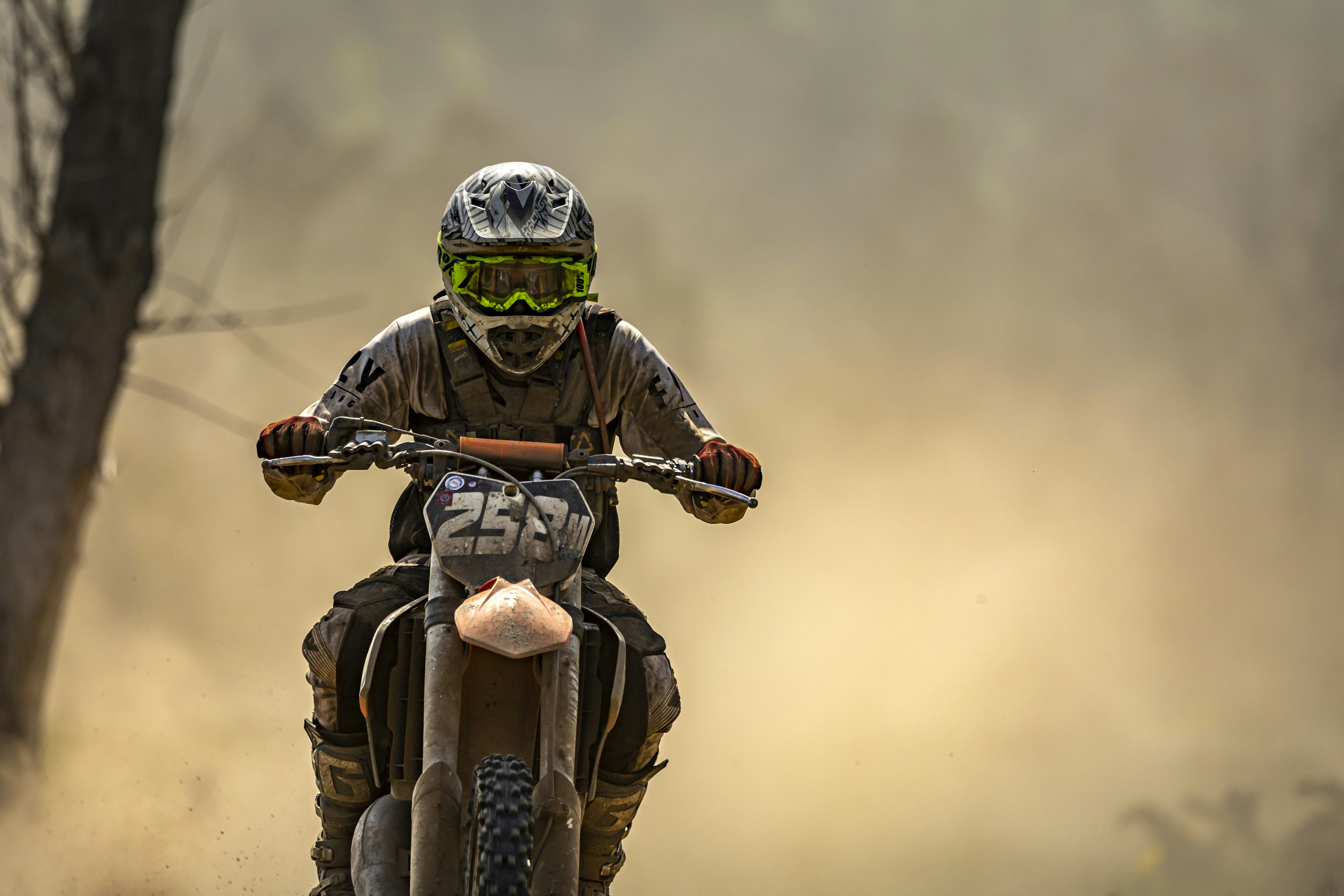 Photo by leo_visions_