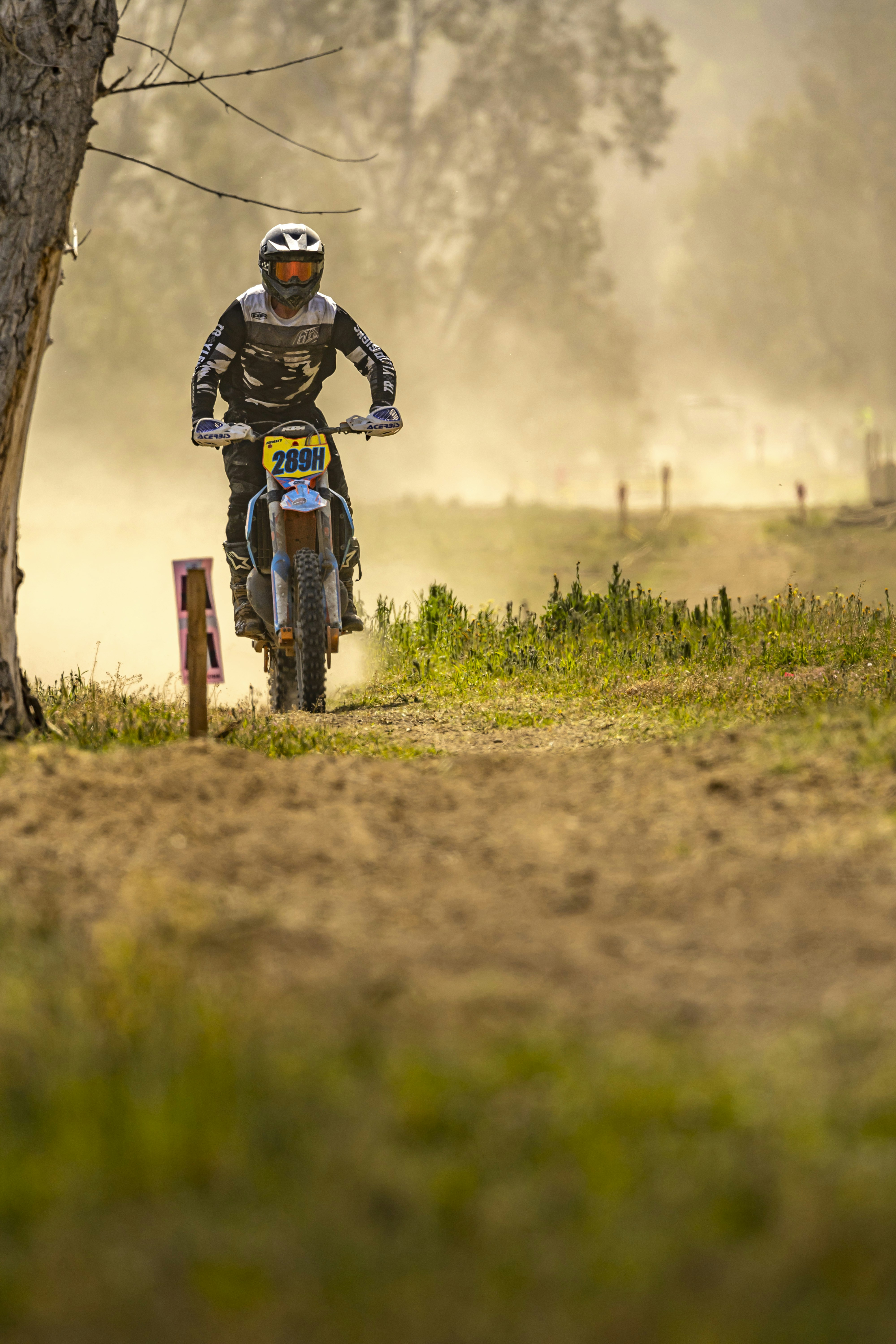 Photo by leo_visions_