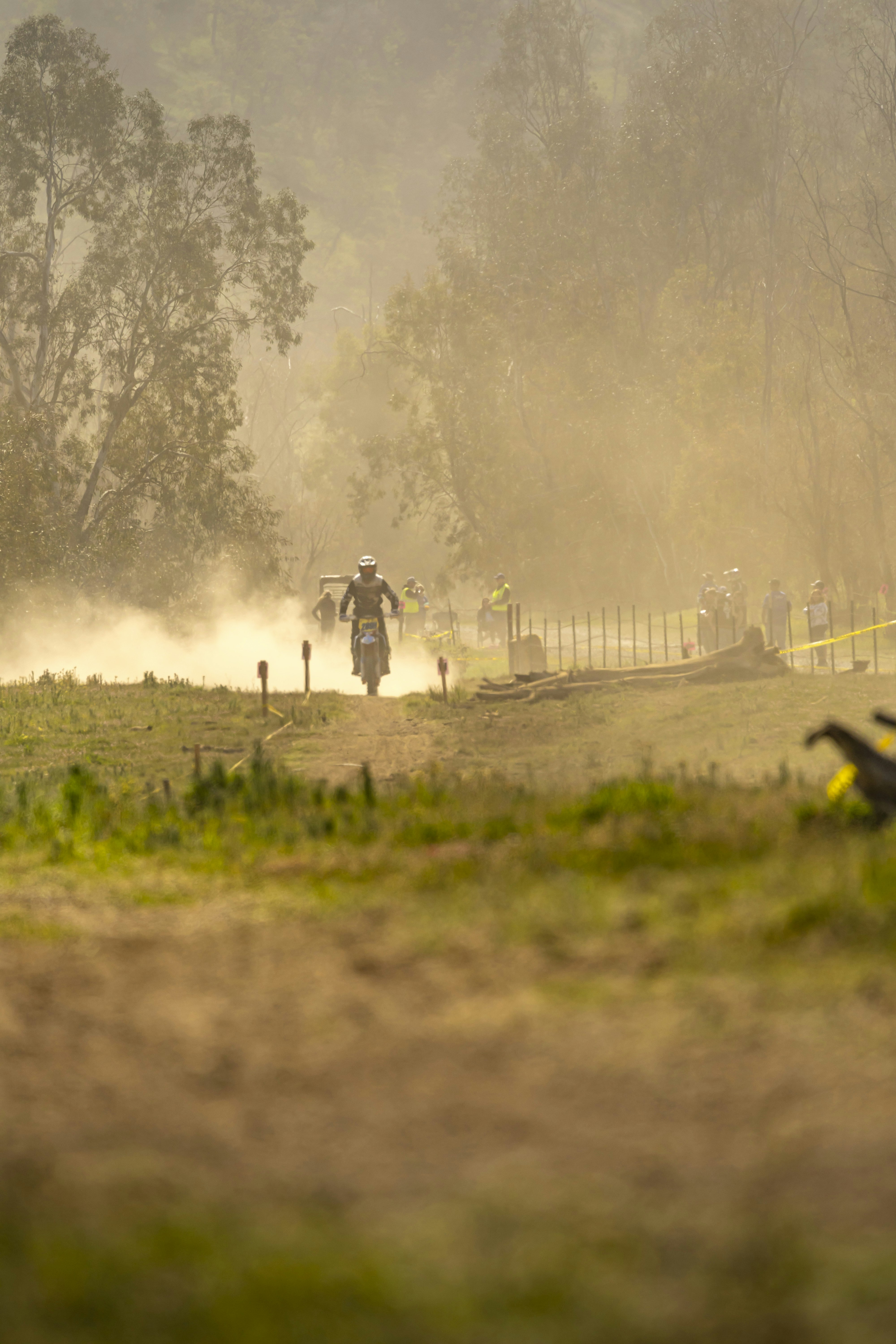 Photo by leo_visions_