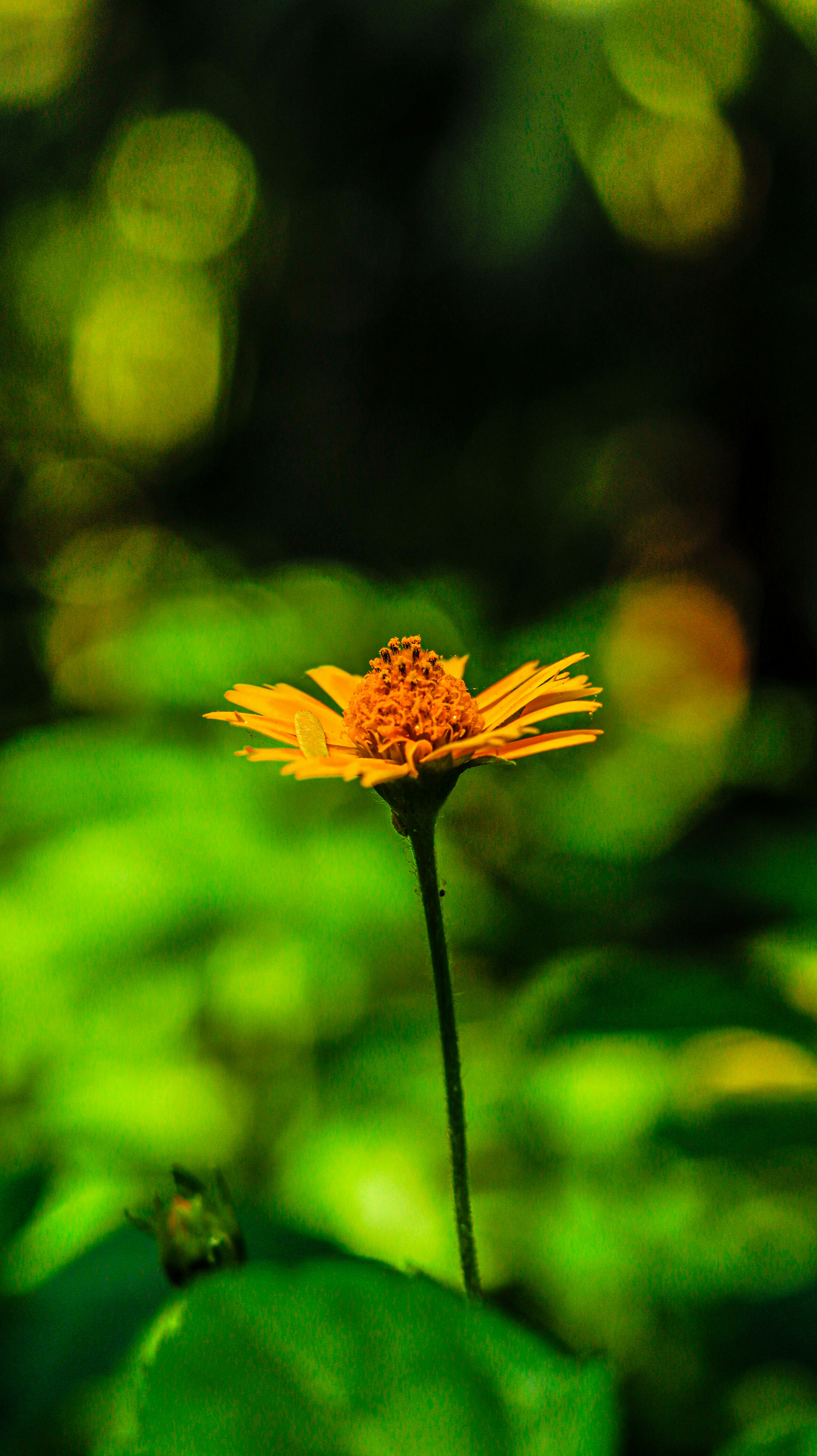 Photo by aneet_singh