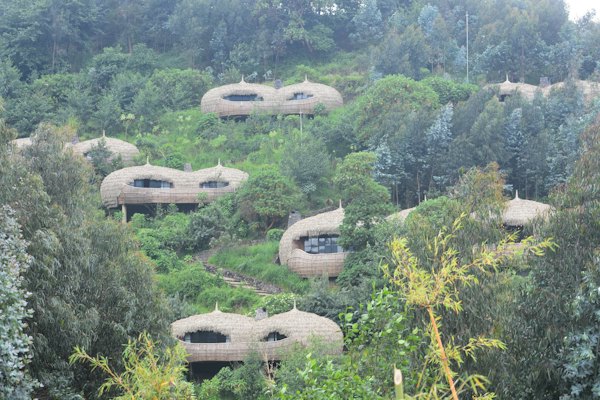 A lodge’s pods half hidden in the forest — Volcanoes National Park, Rwanda
