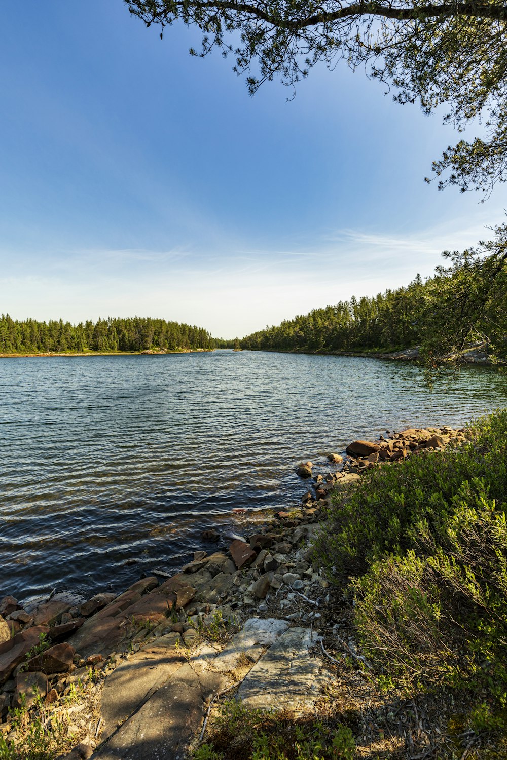 a river with rocks and trees