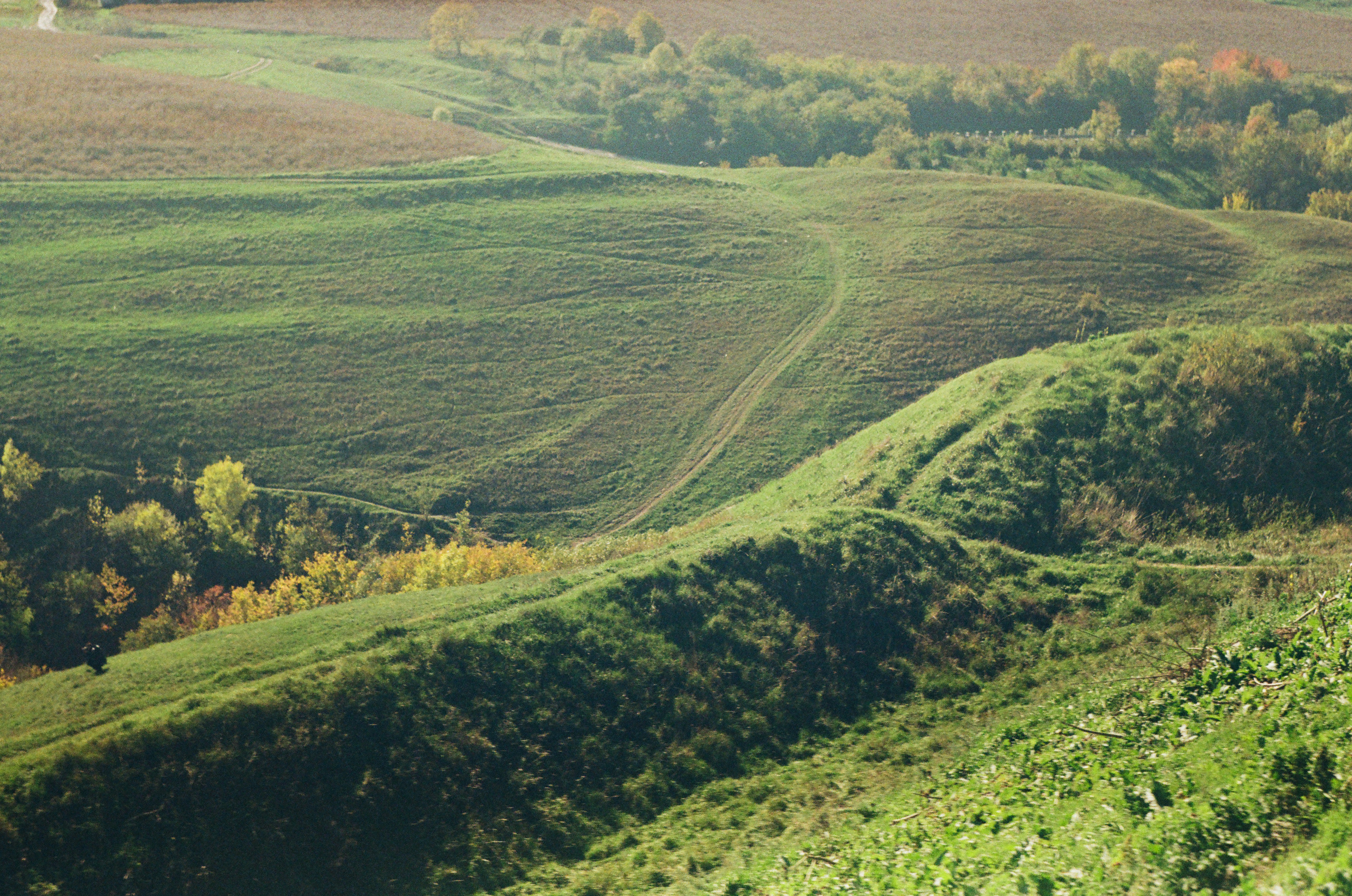 Photo by margarita_ua