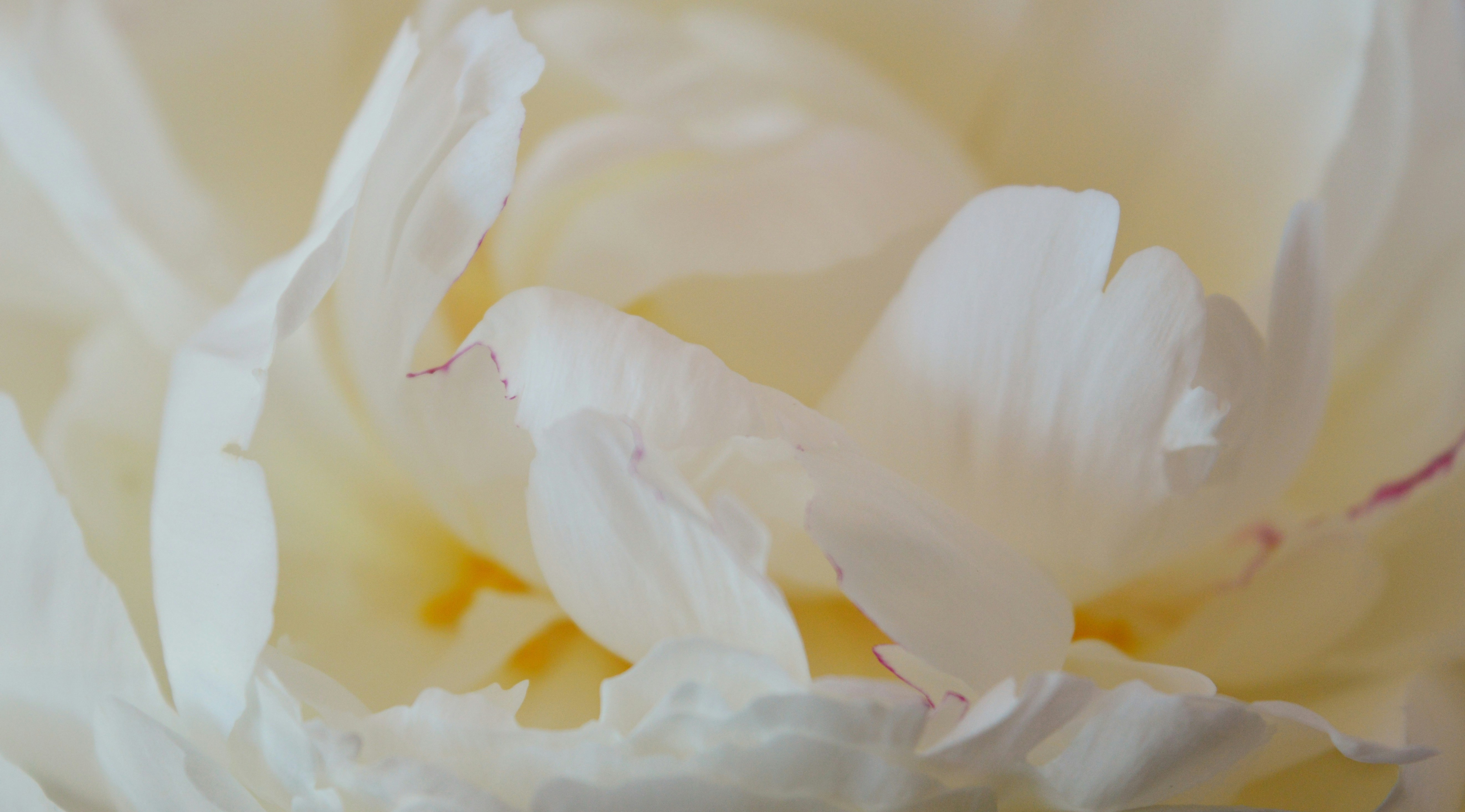 Photo by marianikolova