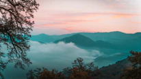 Soft watercolor botanical elements framing a serene sunrise landscape.