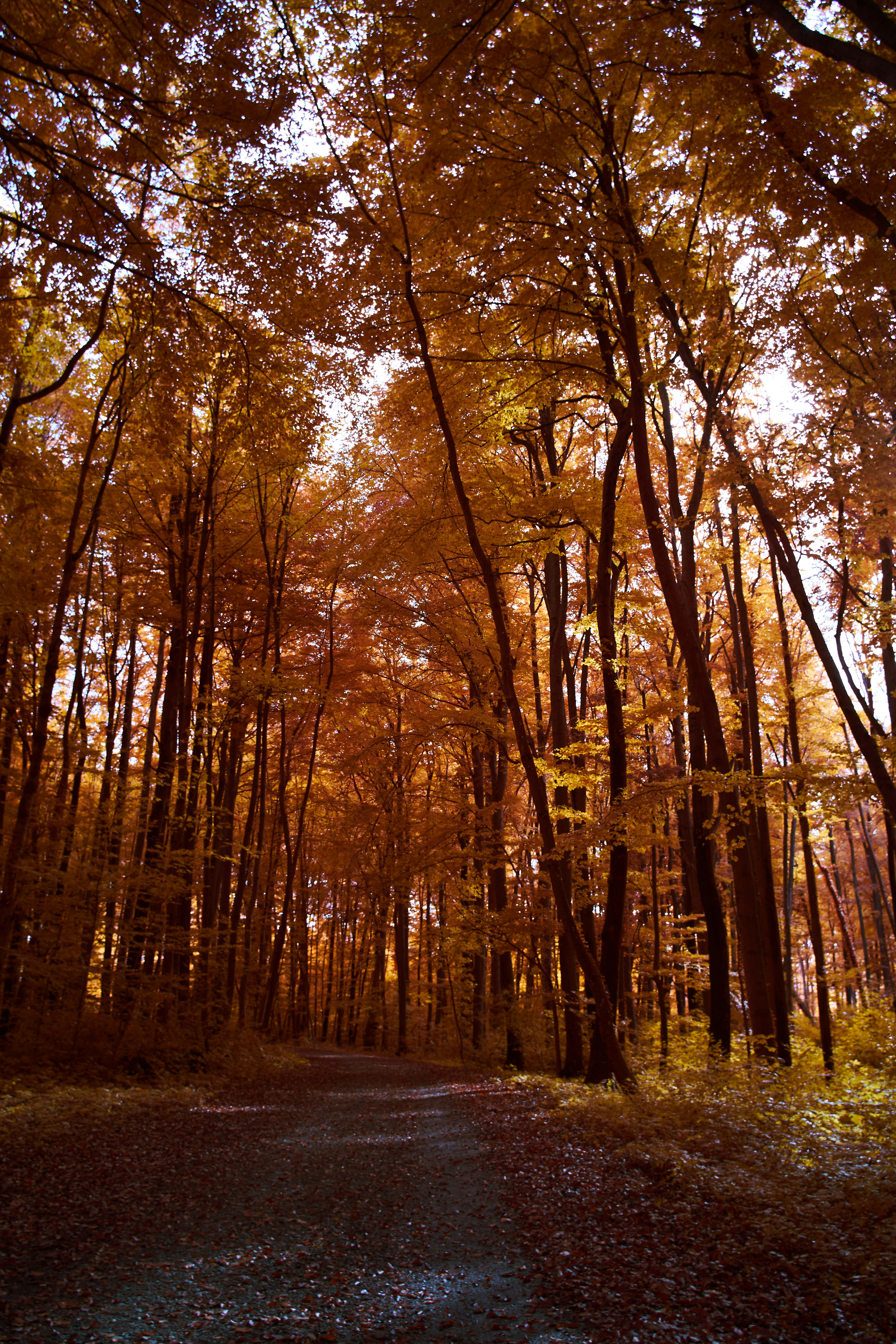 Photo by wolfgang_hasselmann