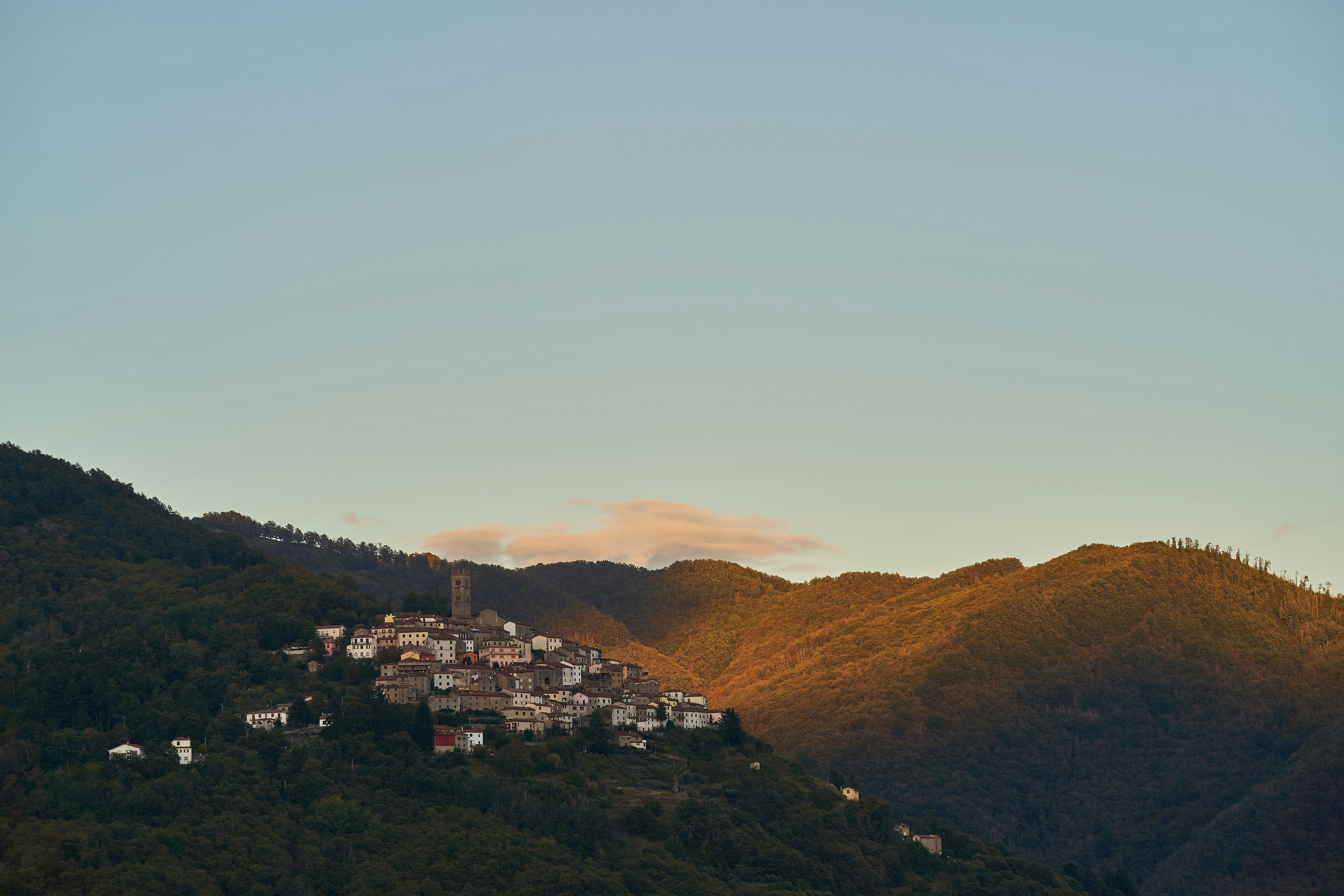 Photo by wolfgang_hasselmann