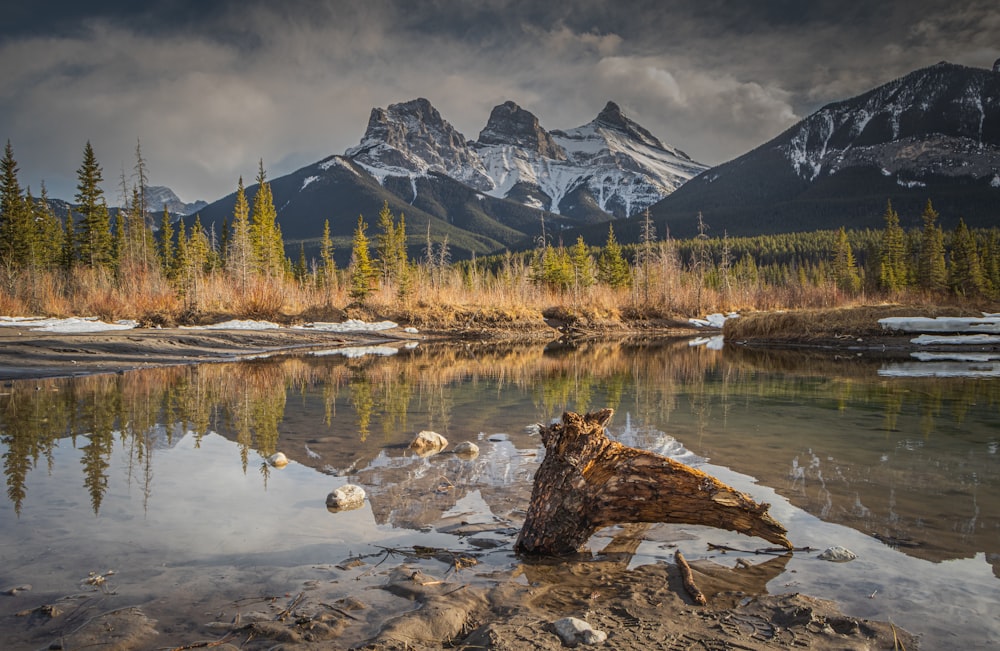 a lake with trees and mountains in the background