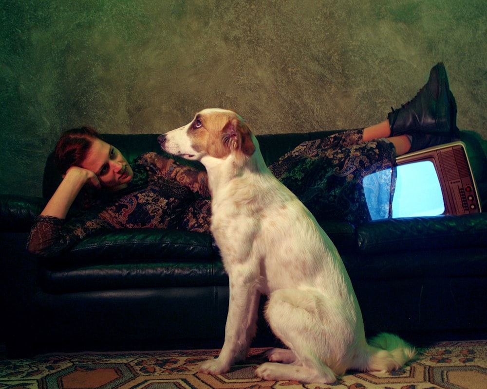 a dog sitting on a person