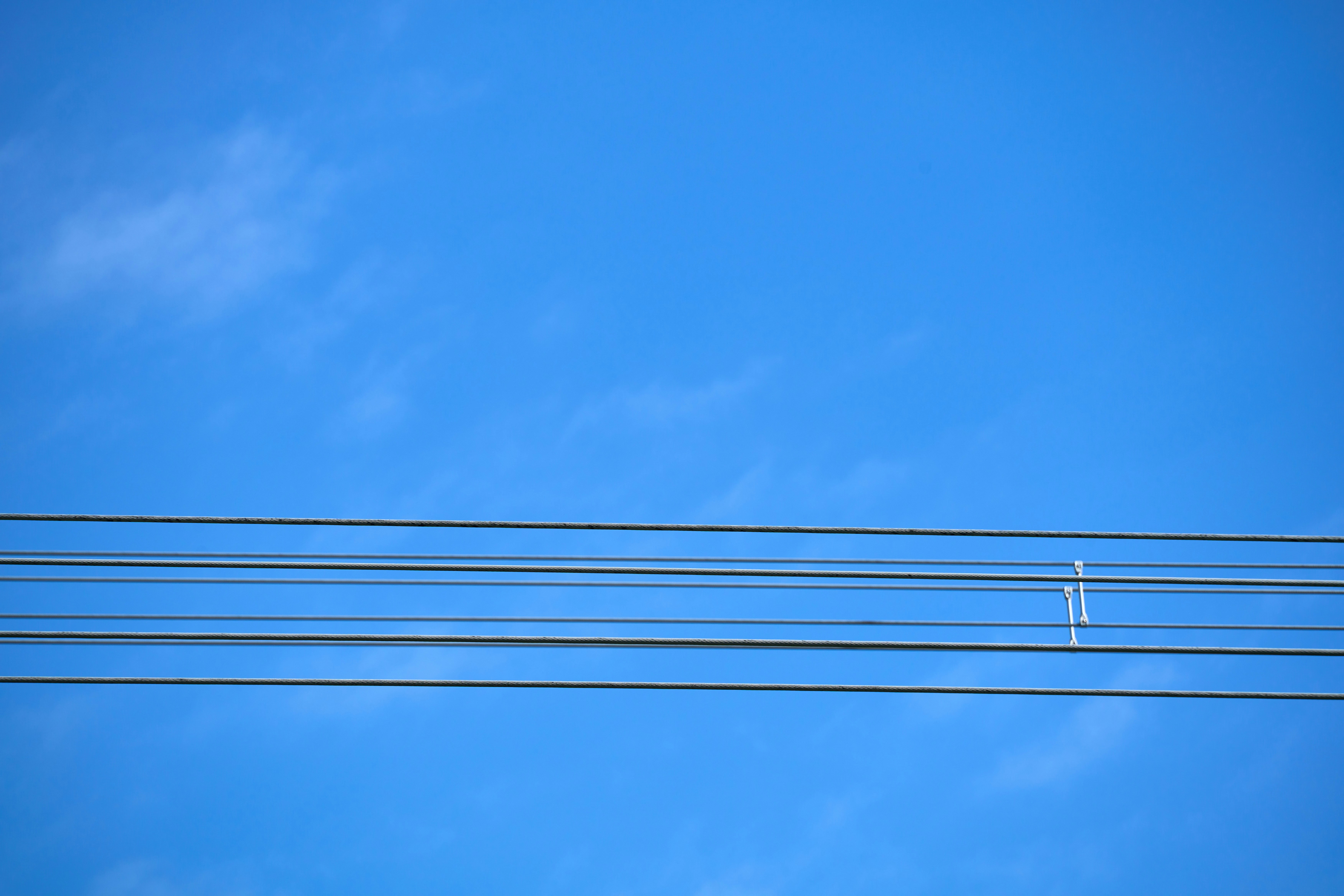 Photo by wolfgang_hasselmann