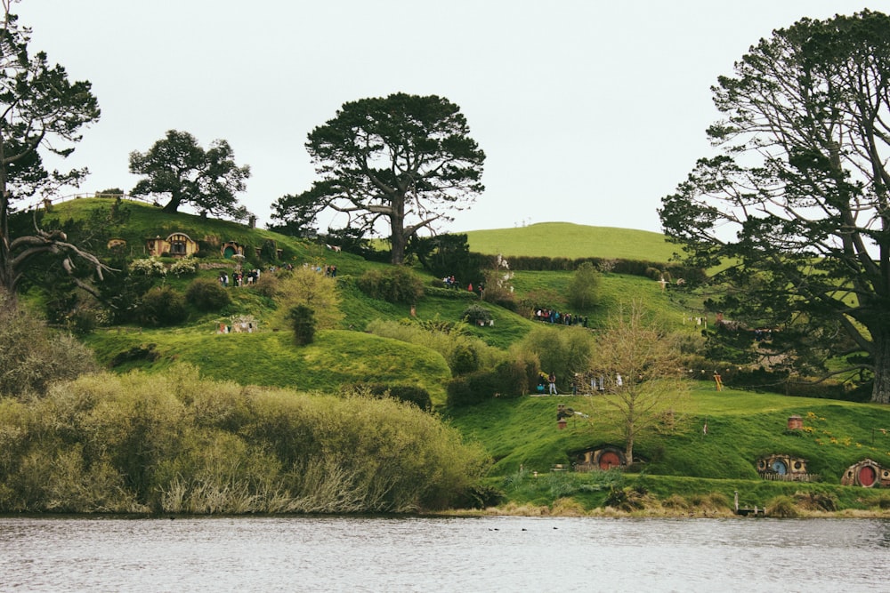a grassy hill with trees and a body of water below