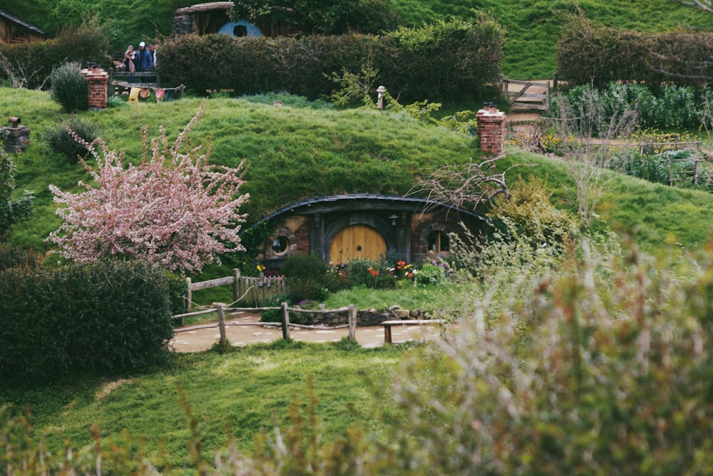 a garden with a bridge