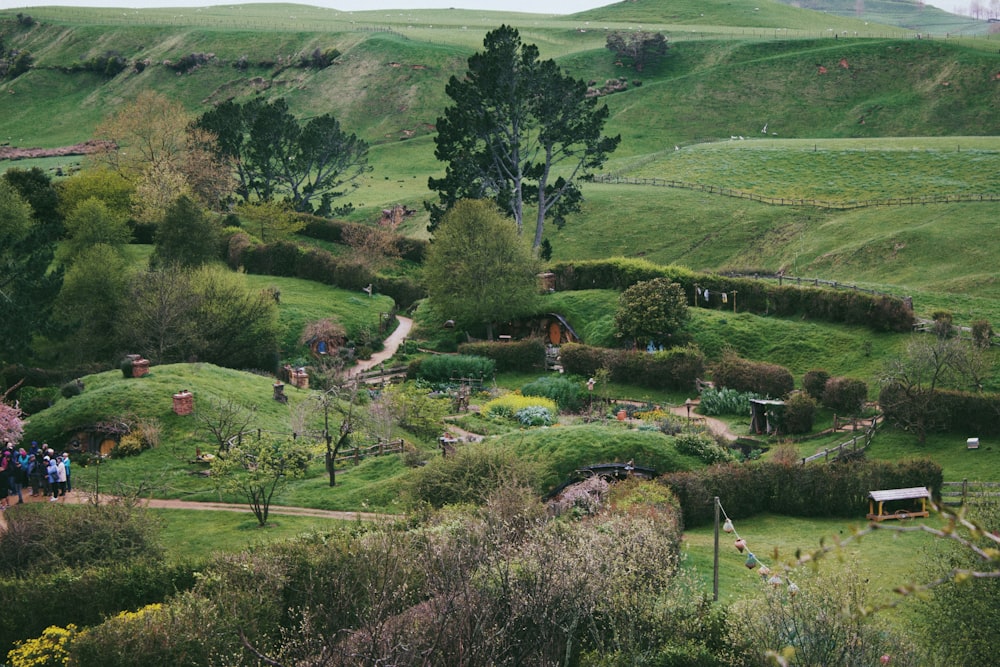 eine grüne Landschaft mit Bäumen und Gebäuden