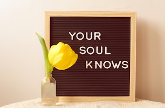 Desbloquea tu Potencial y Cree en tus Capacidades ya