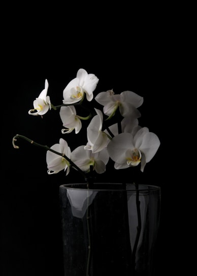 Luxurious arrangement of white orchids and greenery in a sleek black vase on a marble table.