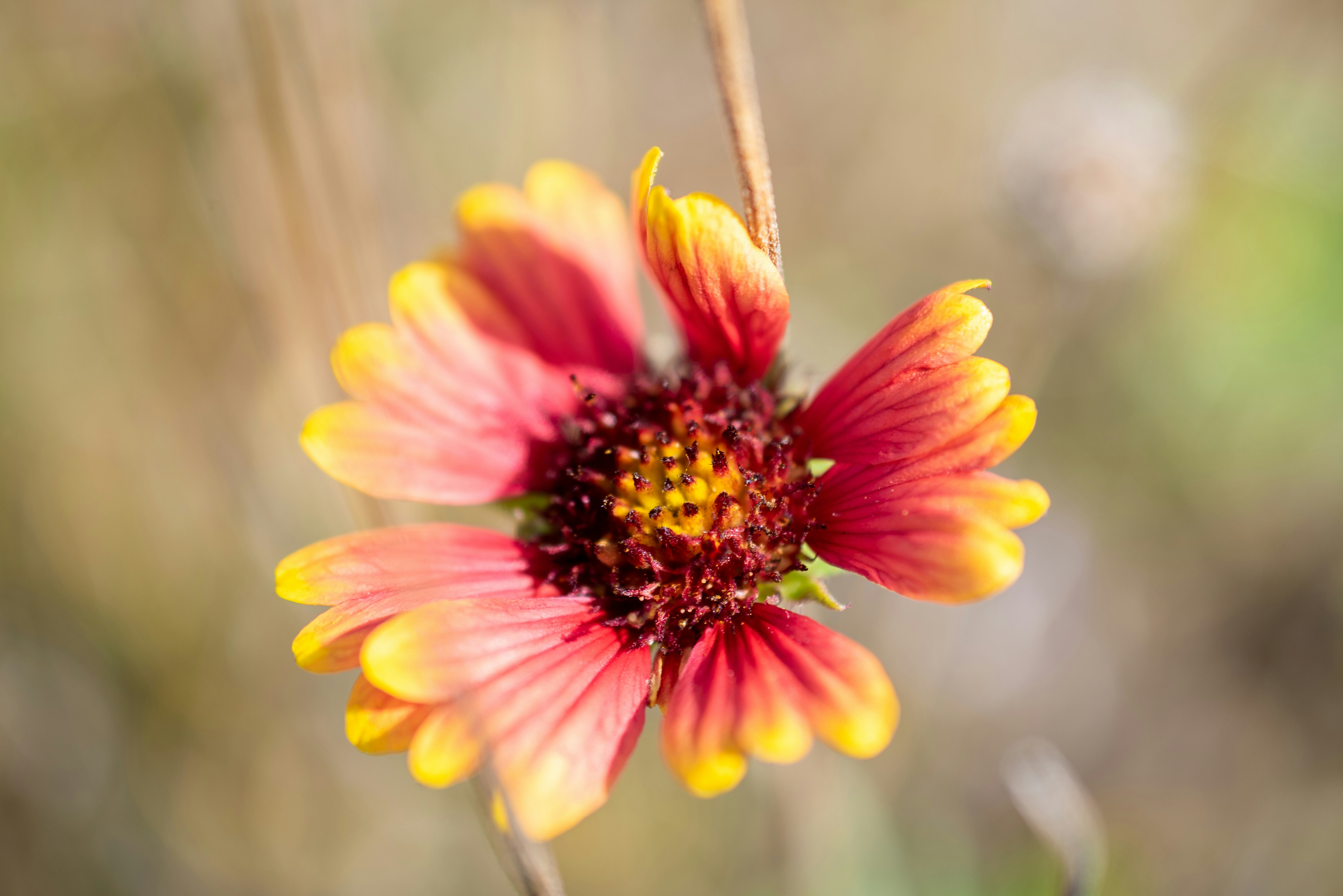 Photo by kimberleyasante