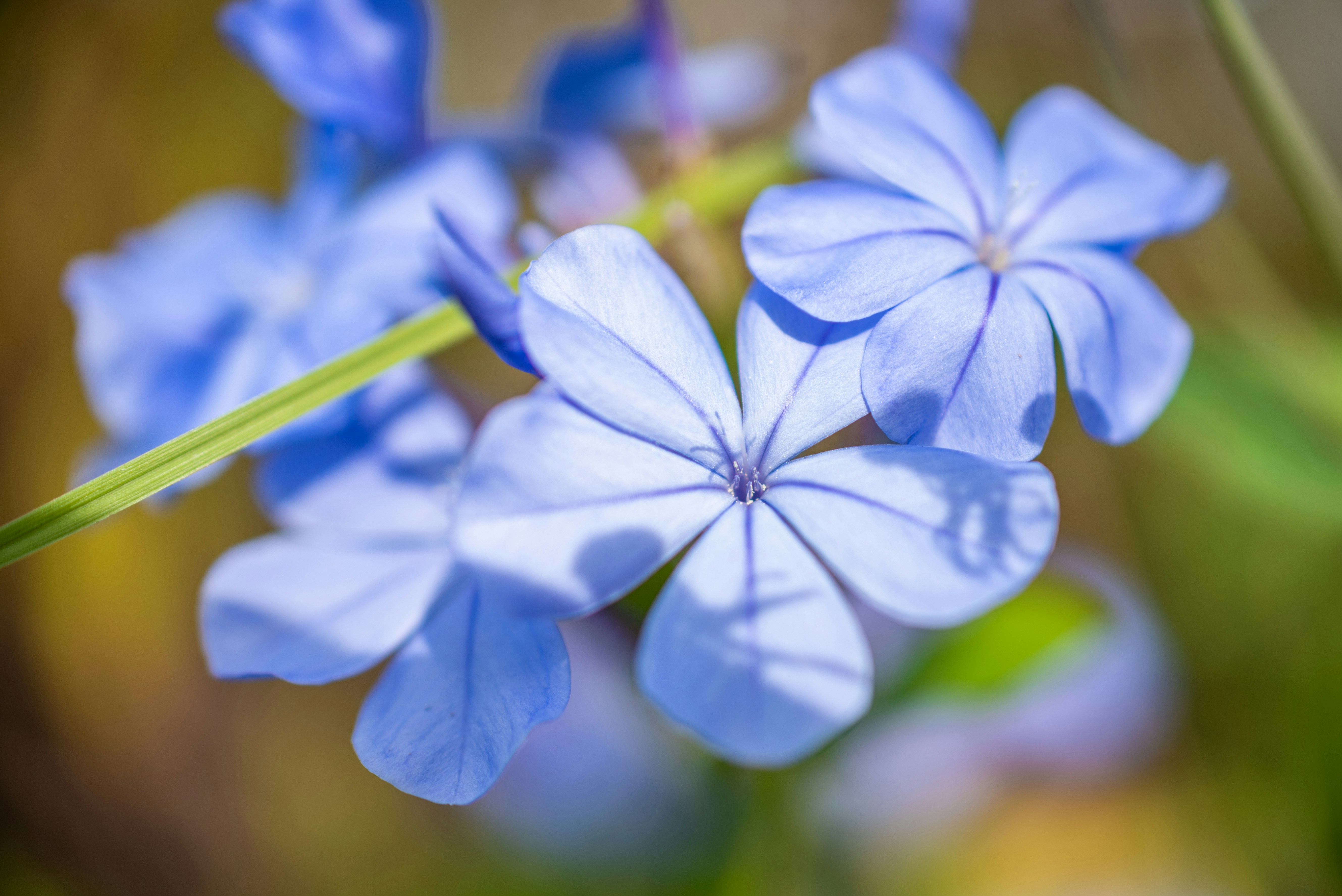 Photo by kimberleyasante