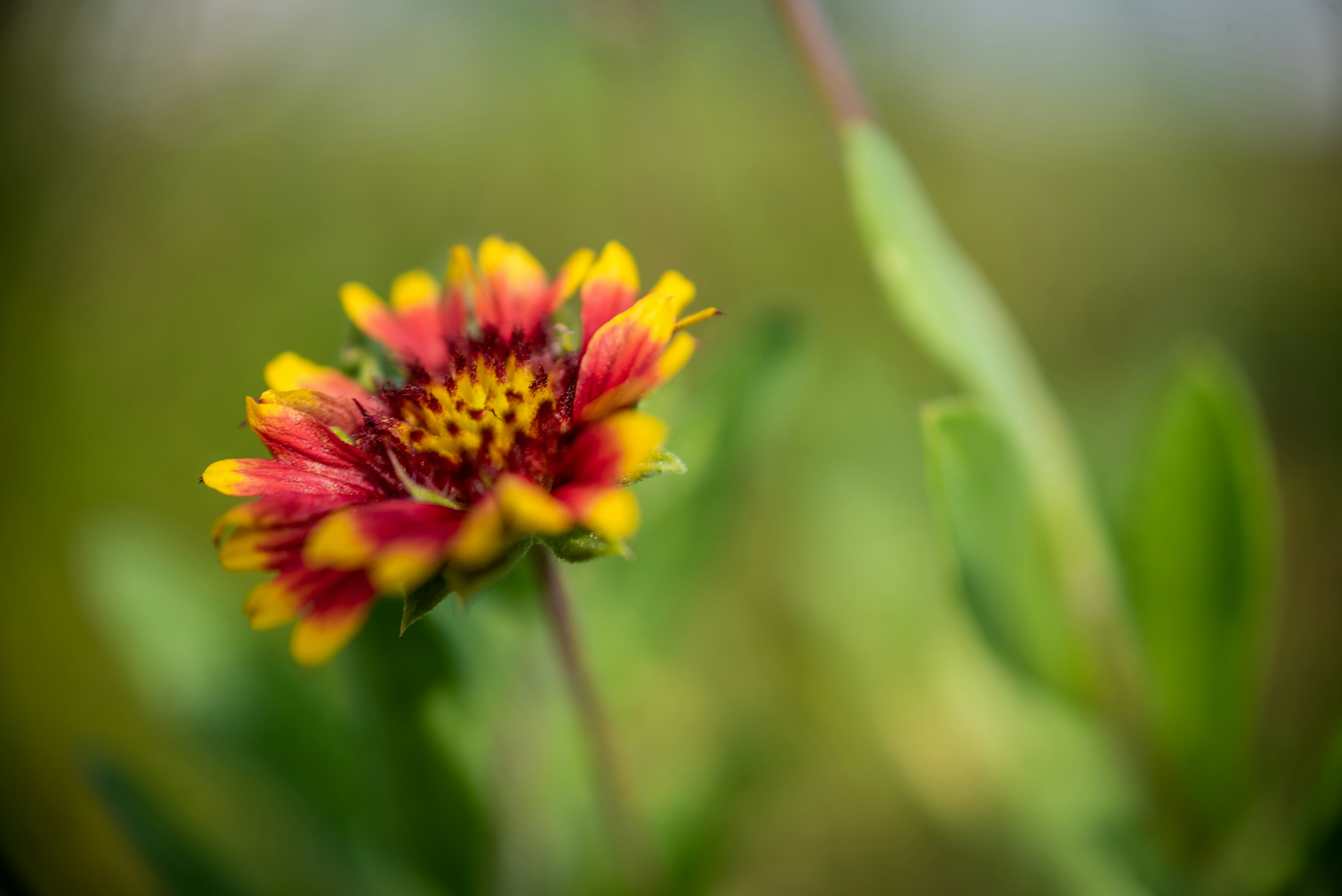 Photo by kimberleyasante