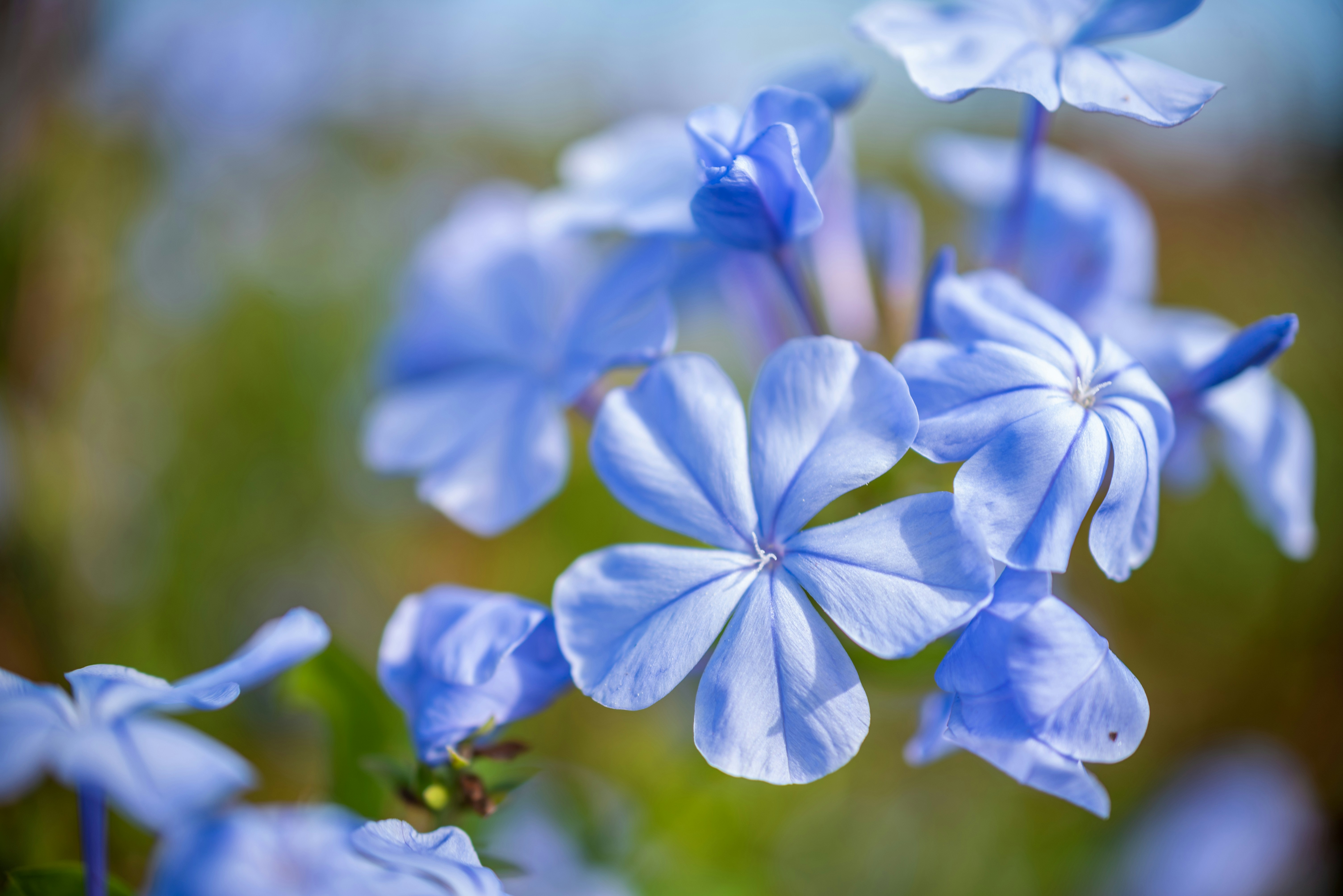 Photo by kimberleyasante