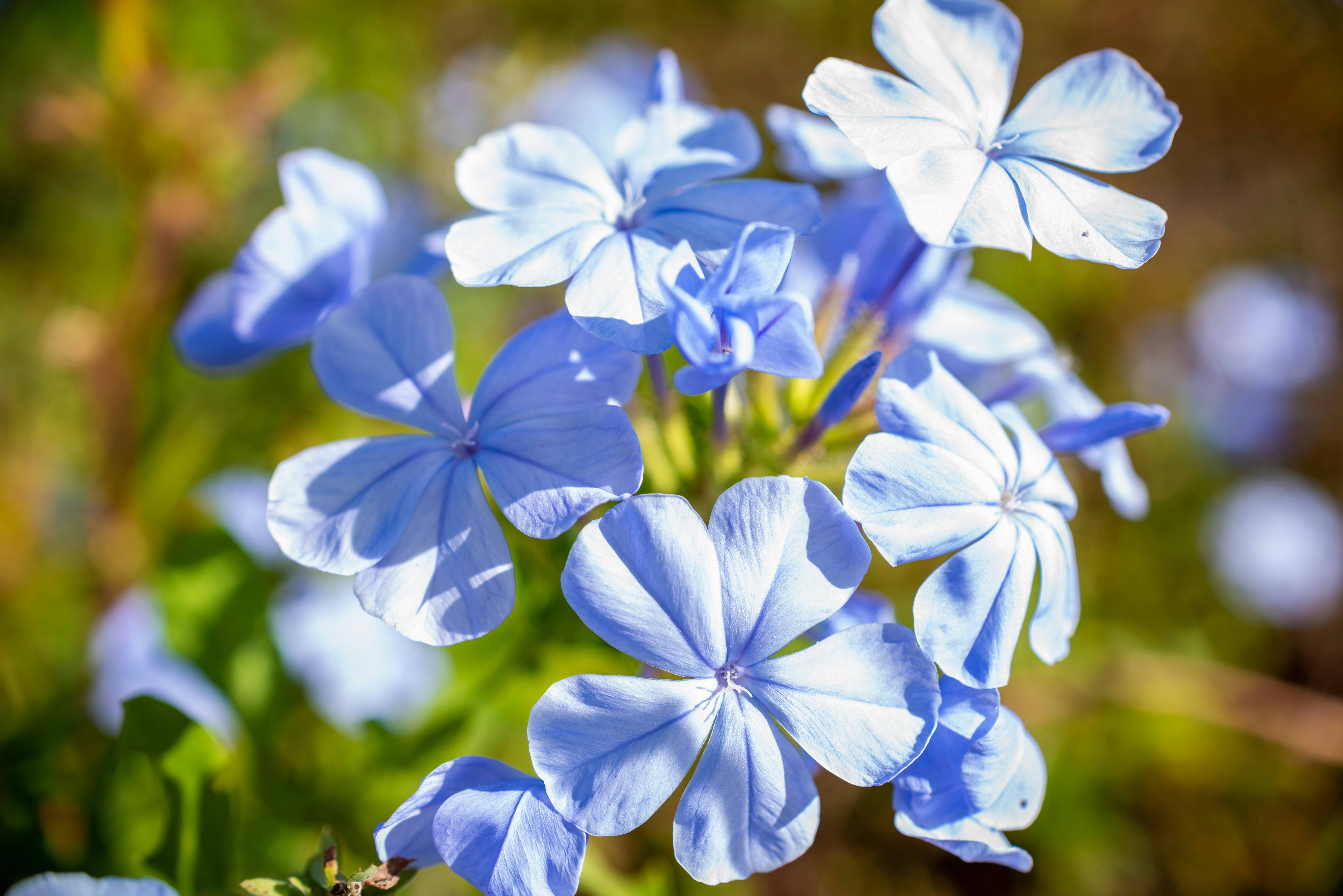 Photo by kimberleyasante