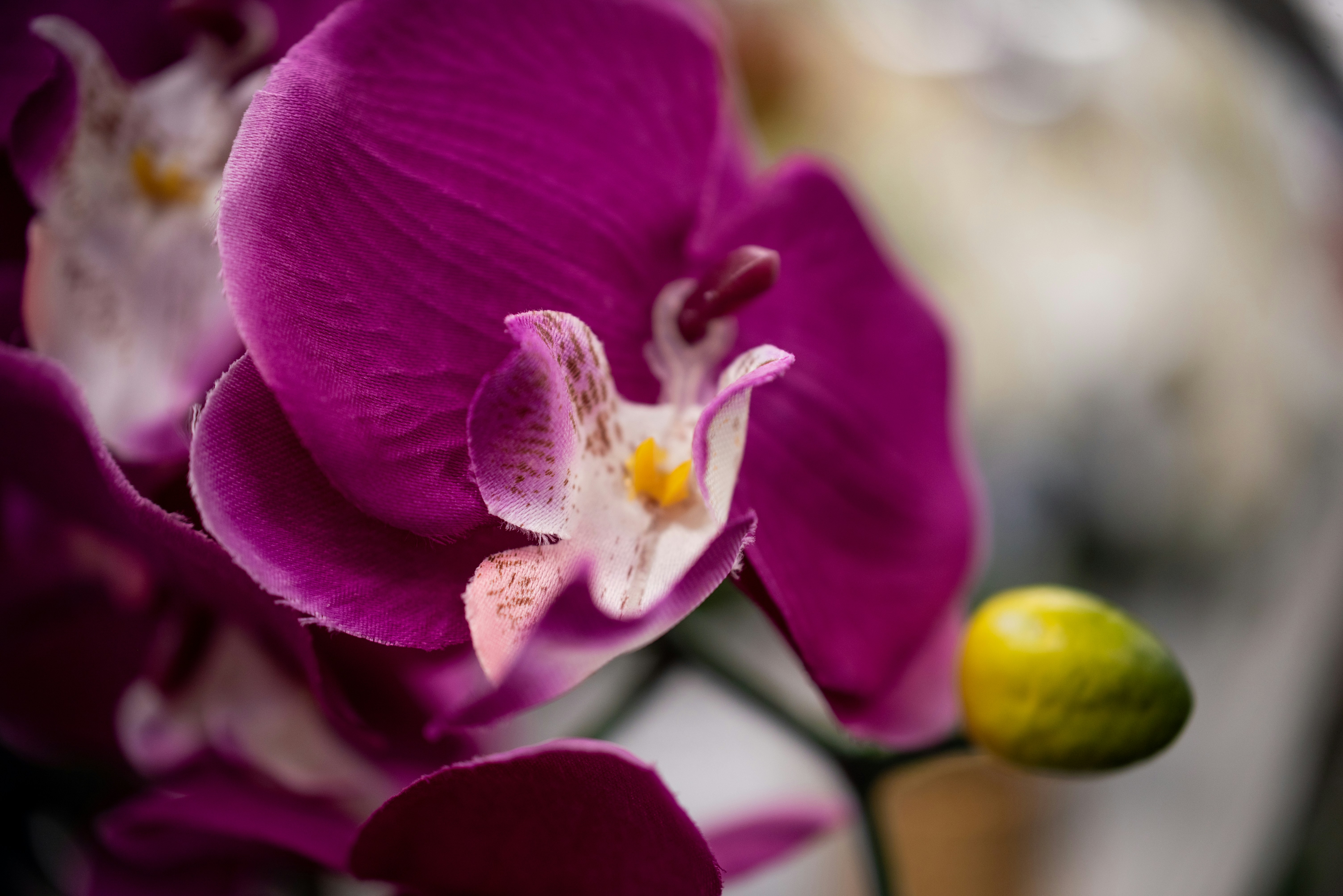 Photo by kimberleyasante