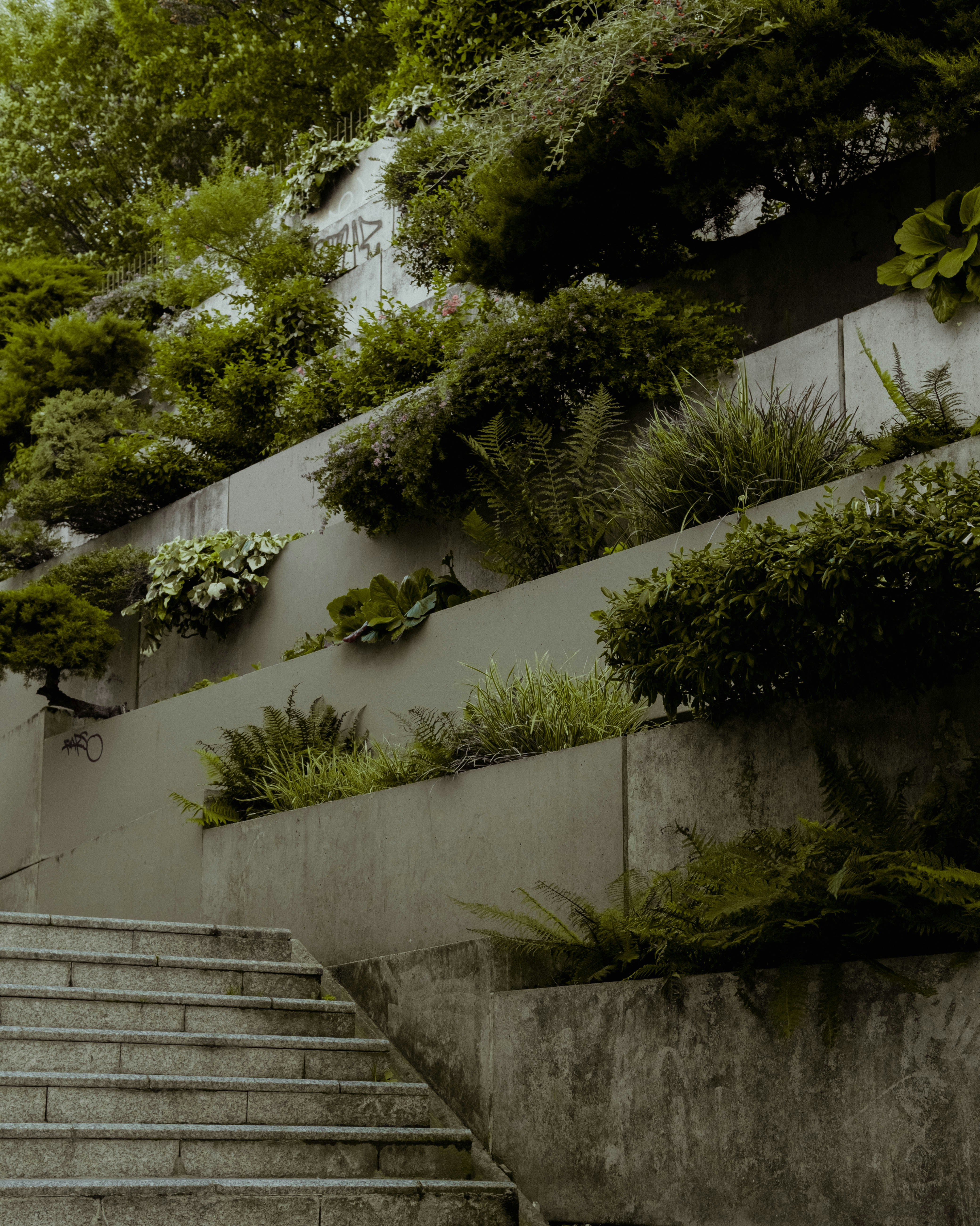 a stone wall with plants growing on it