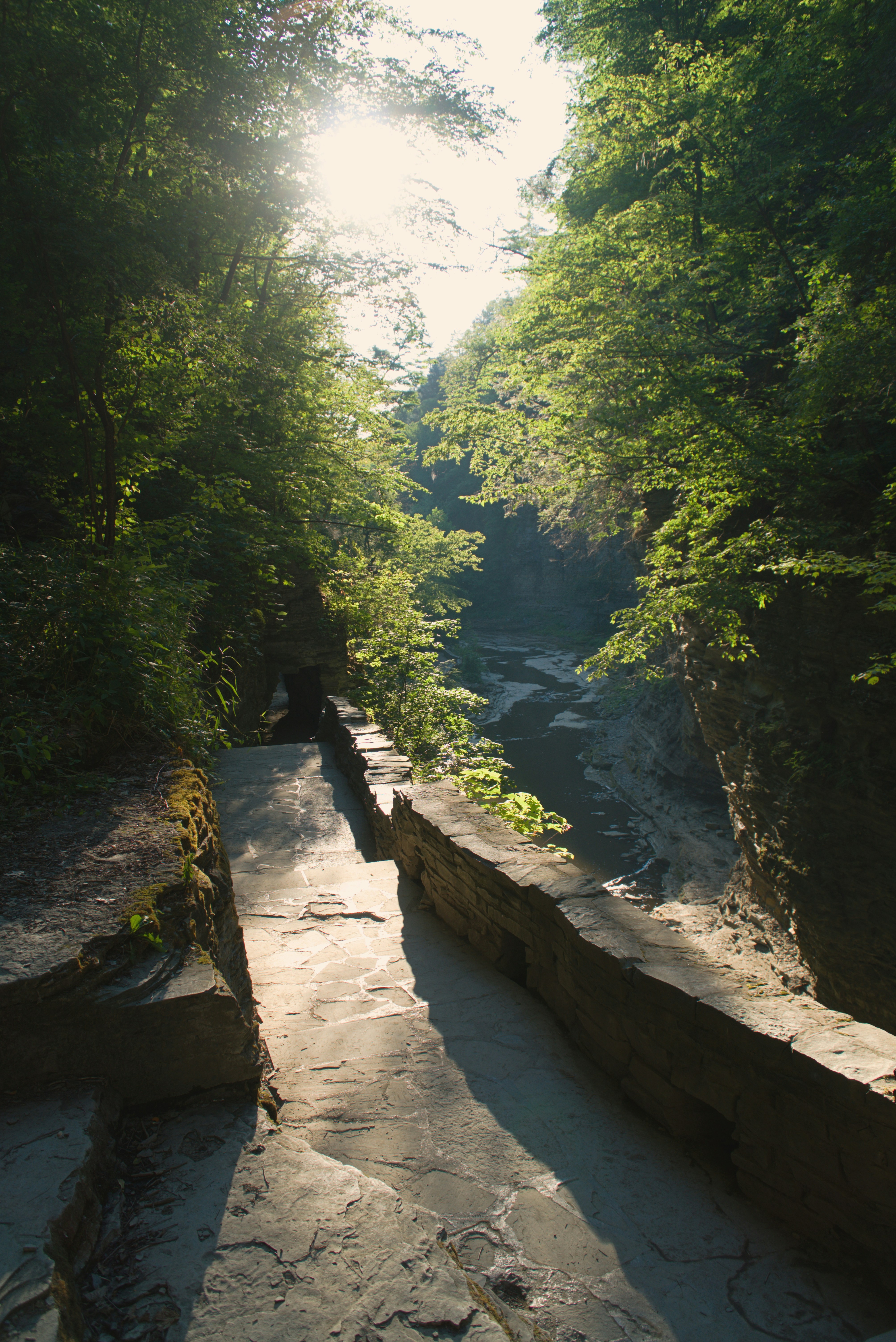 a river with trees on the side