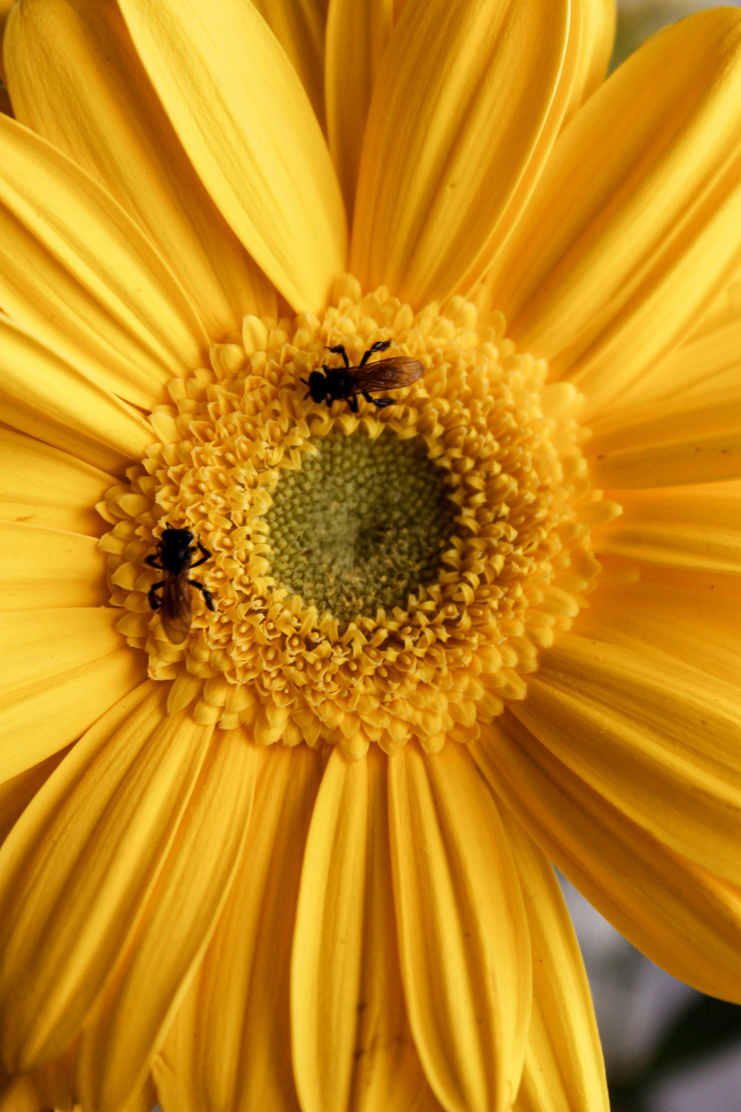 Photo by paolarurrutia