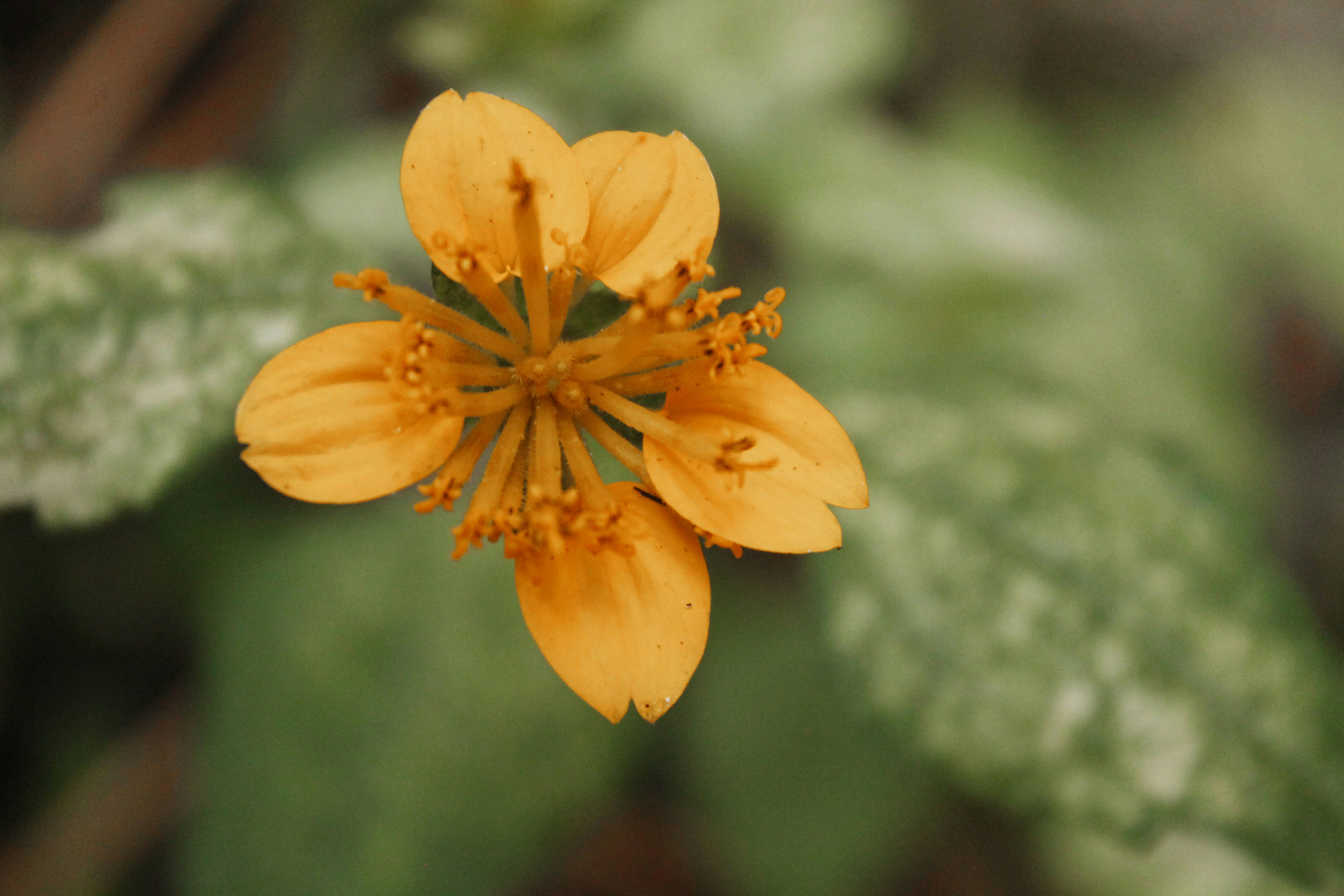 Photo by paolarurrutia