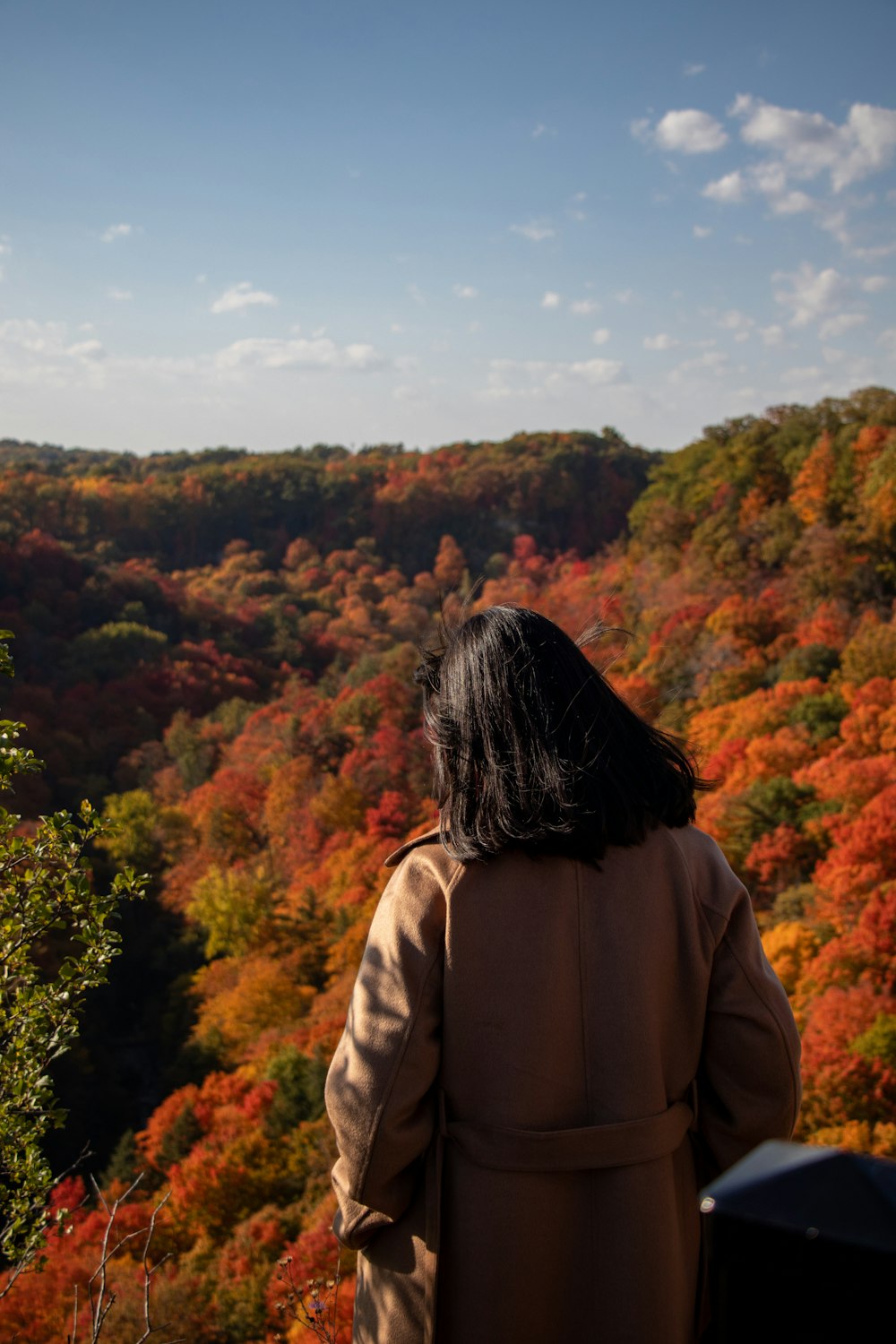 a person looking out over a forest