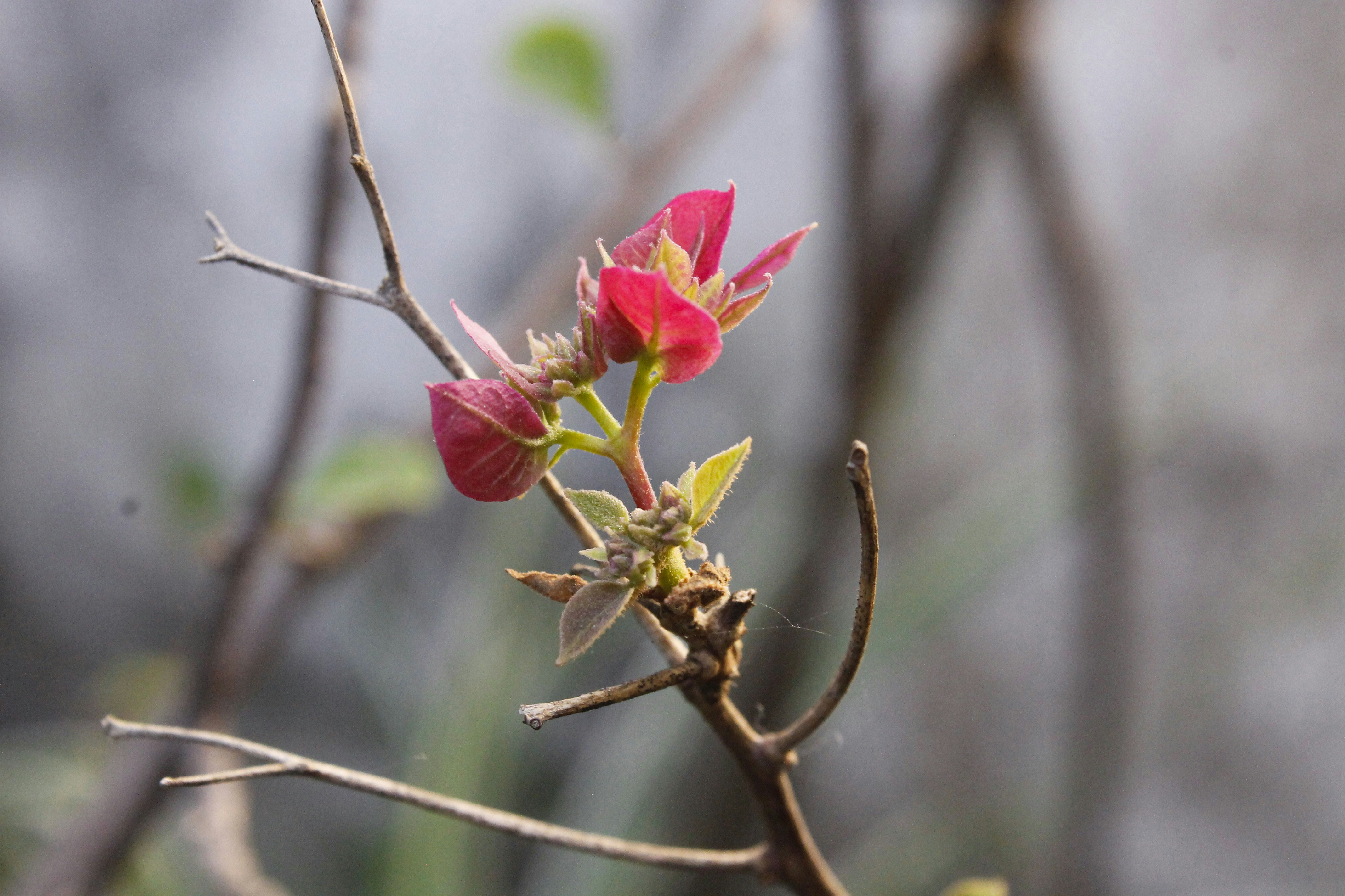 Photo by paolarurrutia