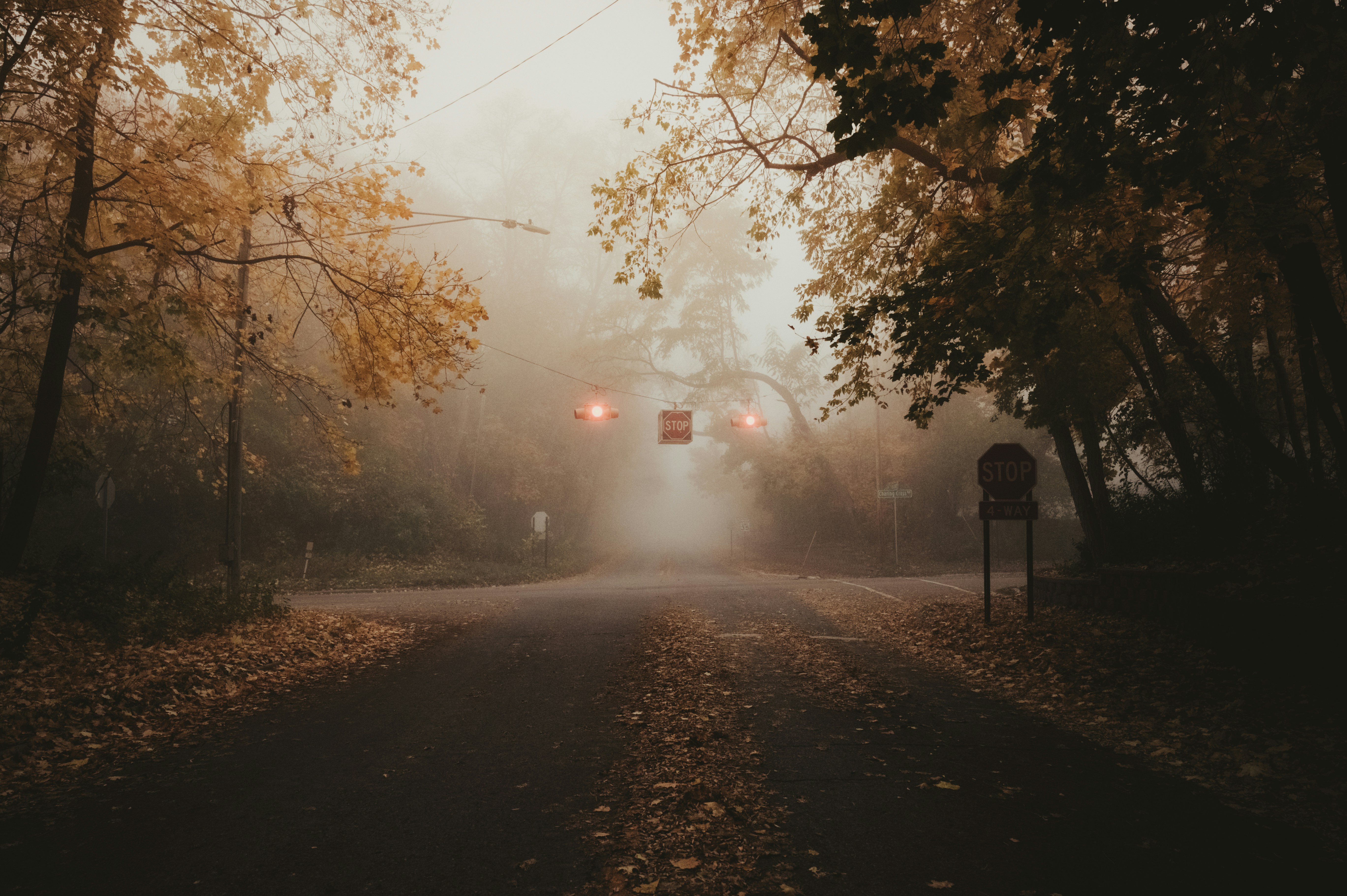 Photo by mariahhewines