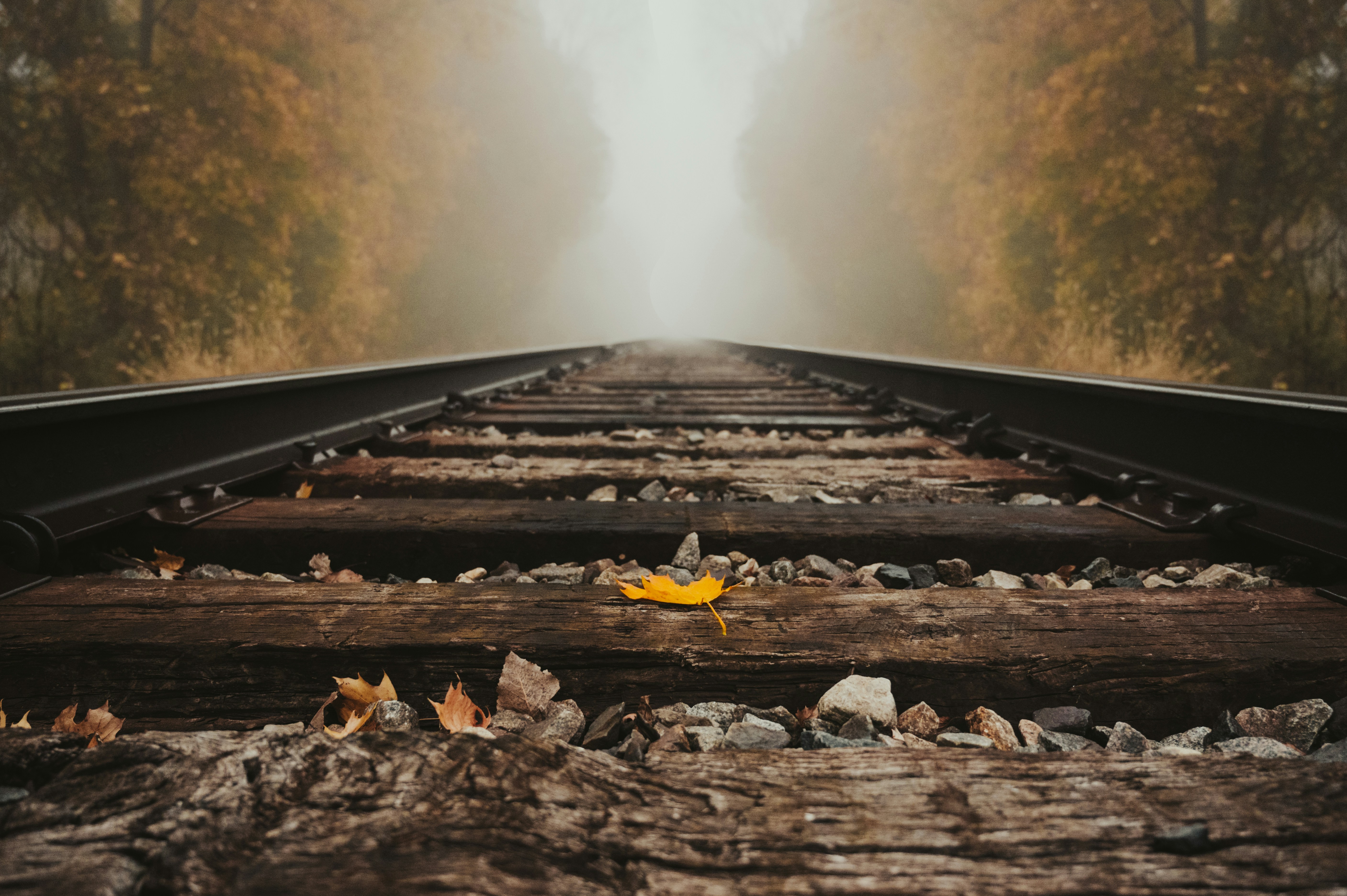 Photo by mariahhewines