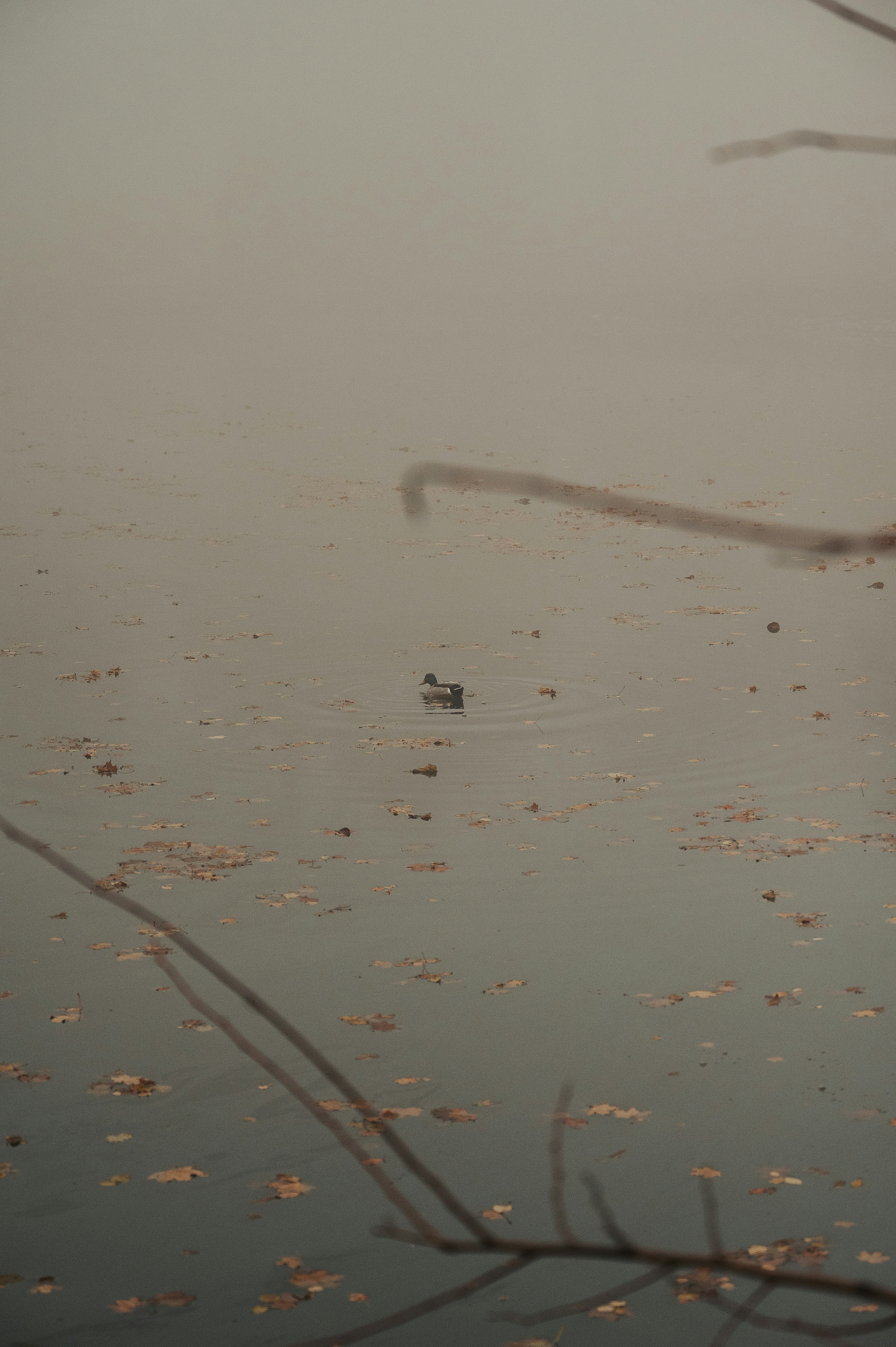 Photo by mariahhewines