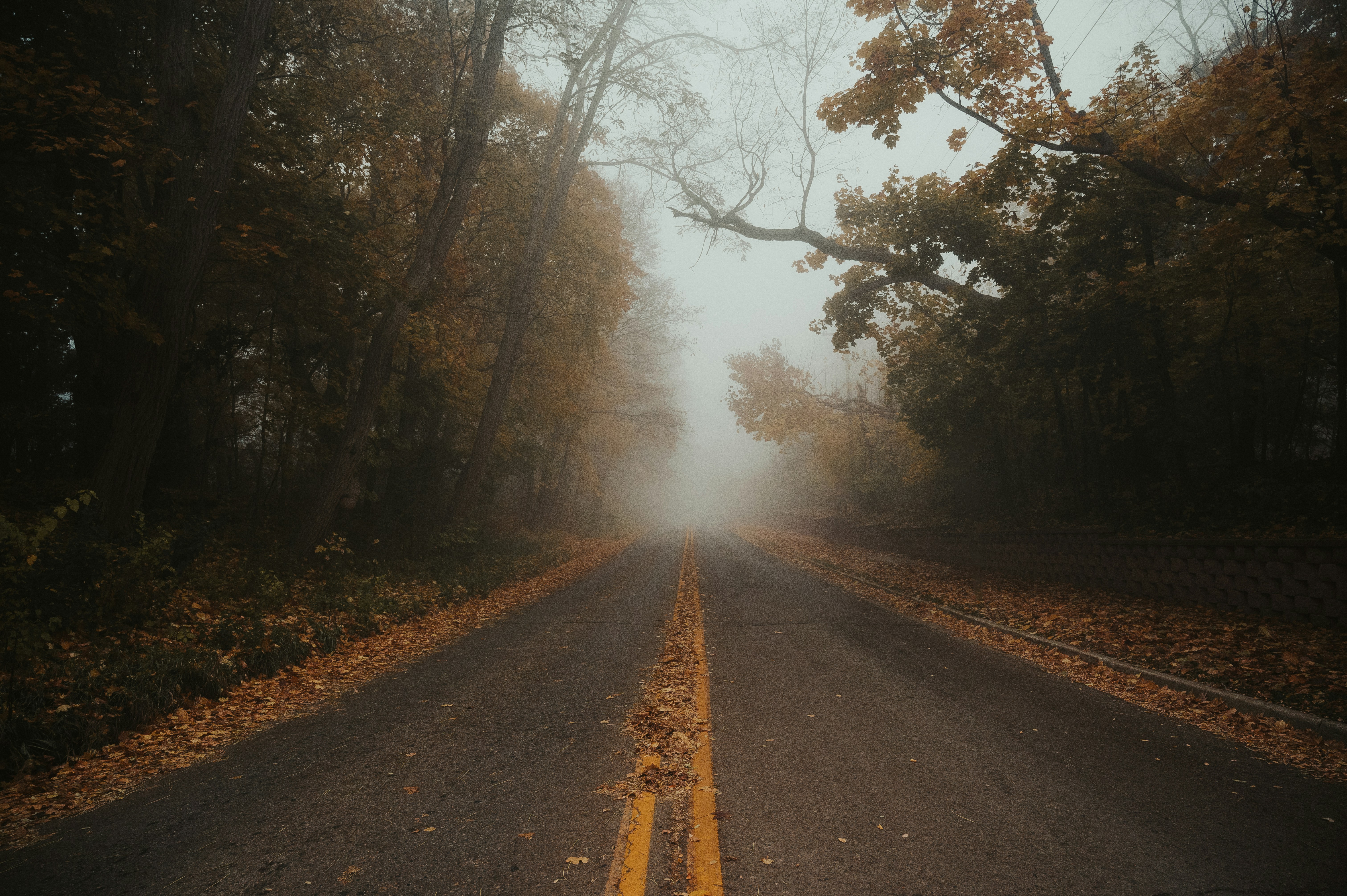 Photo by mariahhewines