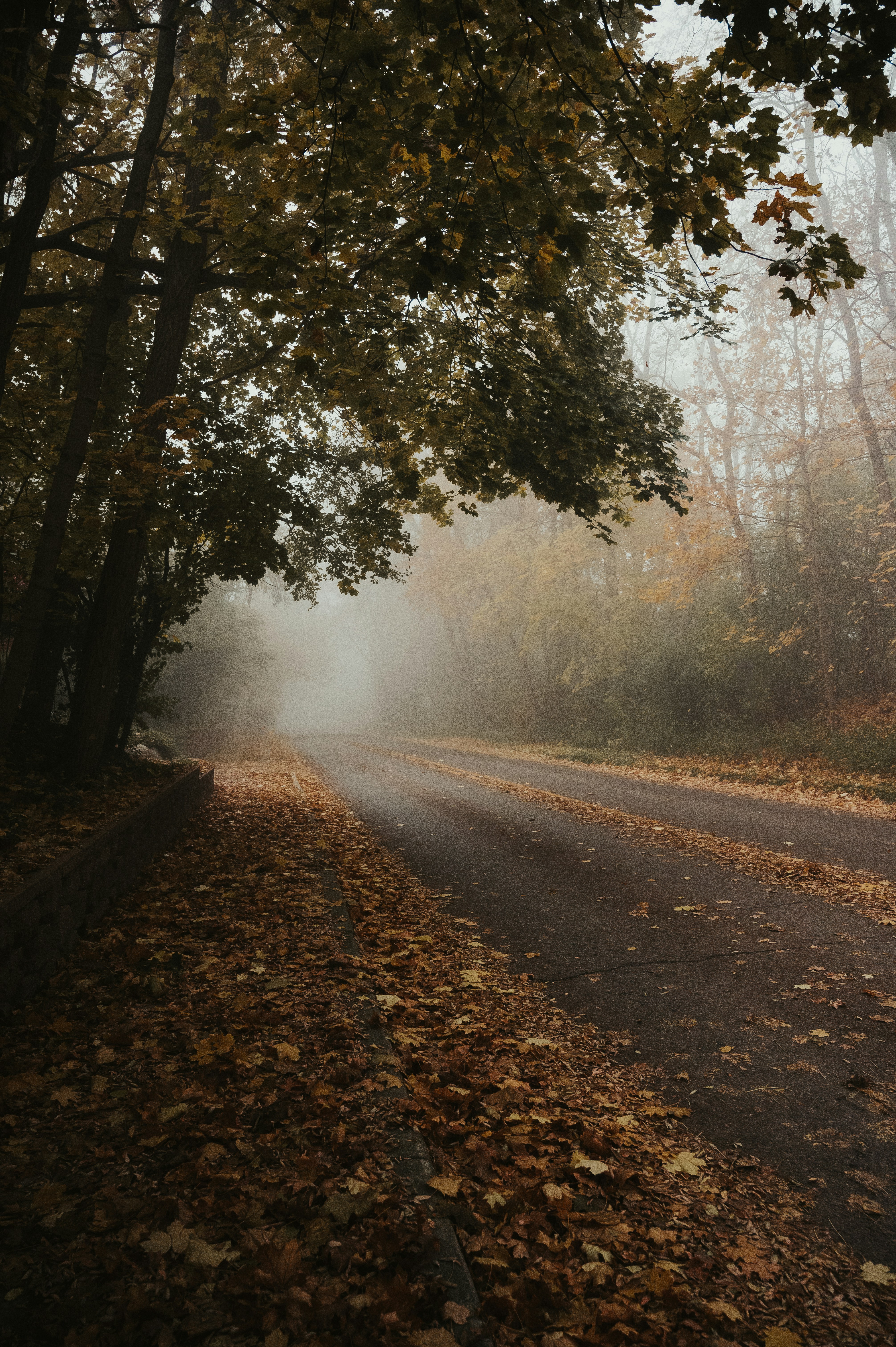 Photo by mariahhewines