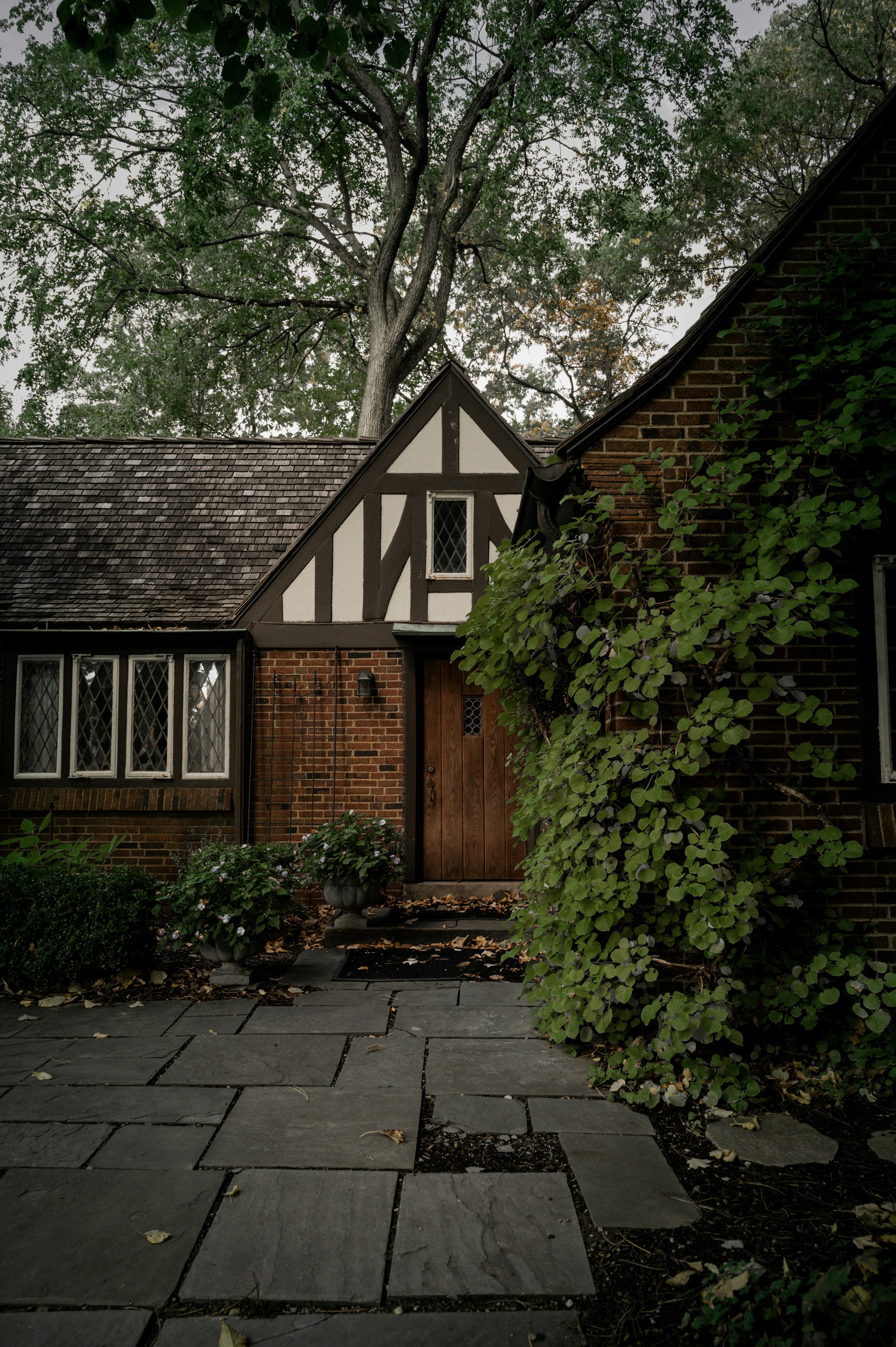 Photo by mariahhewines