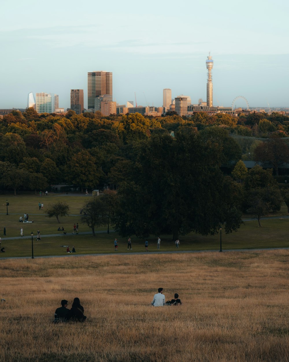 a park with people and trees in the background