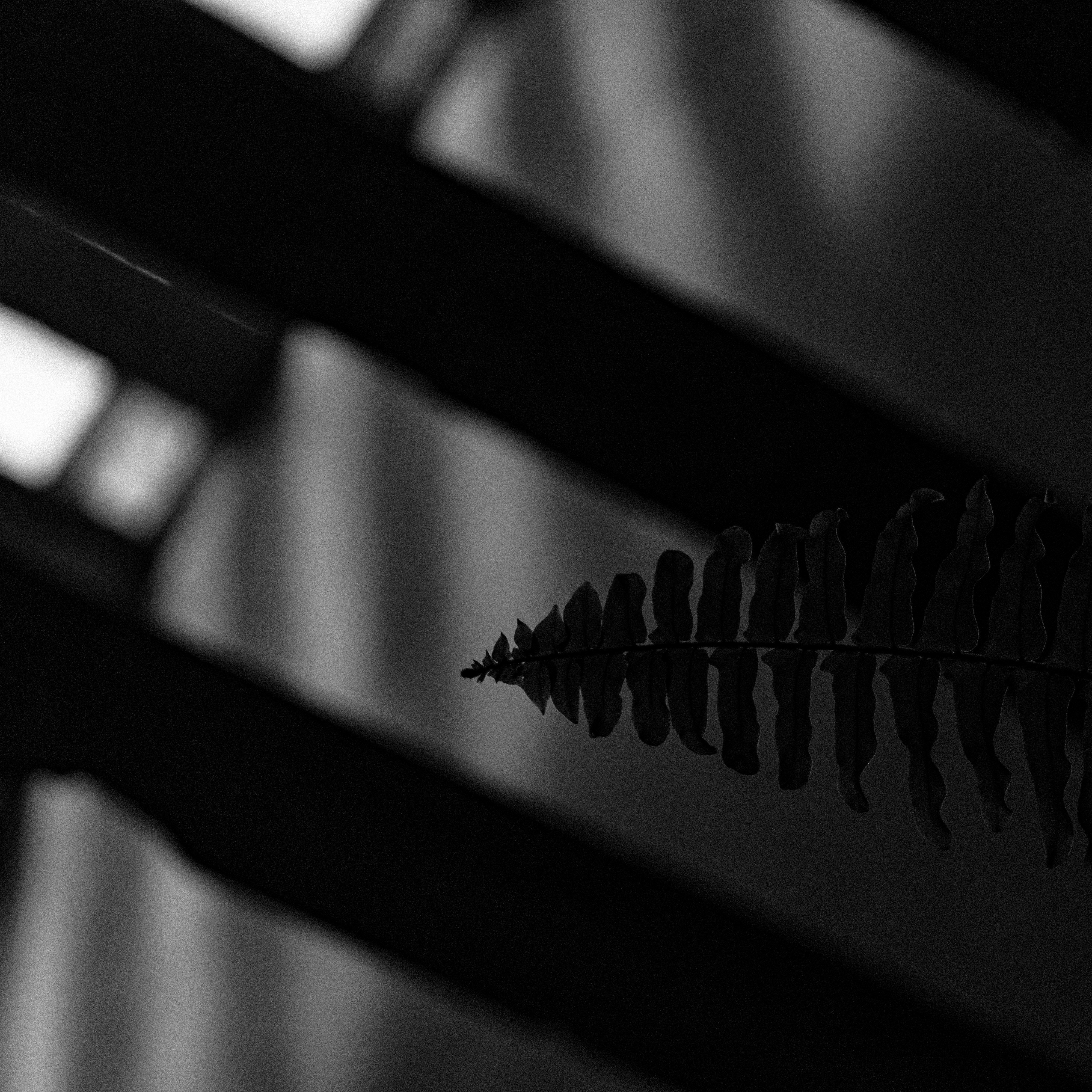 Photo by tallitamaynara